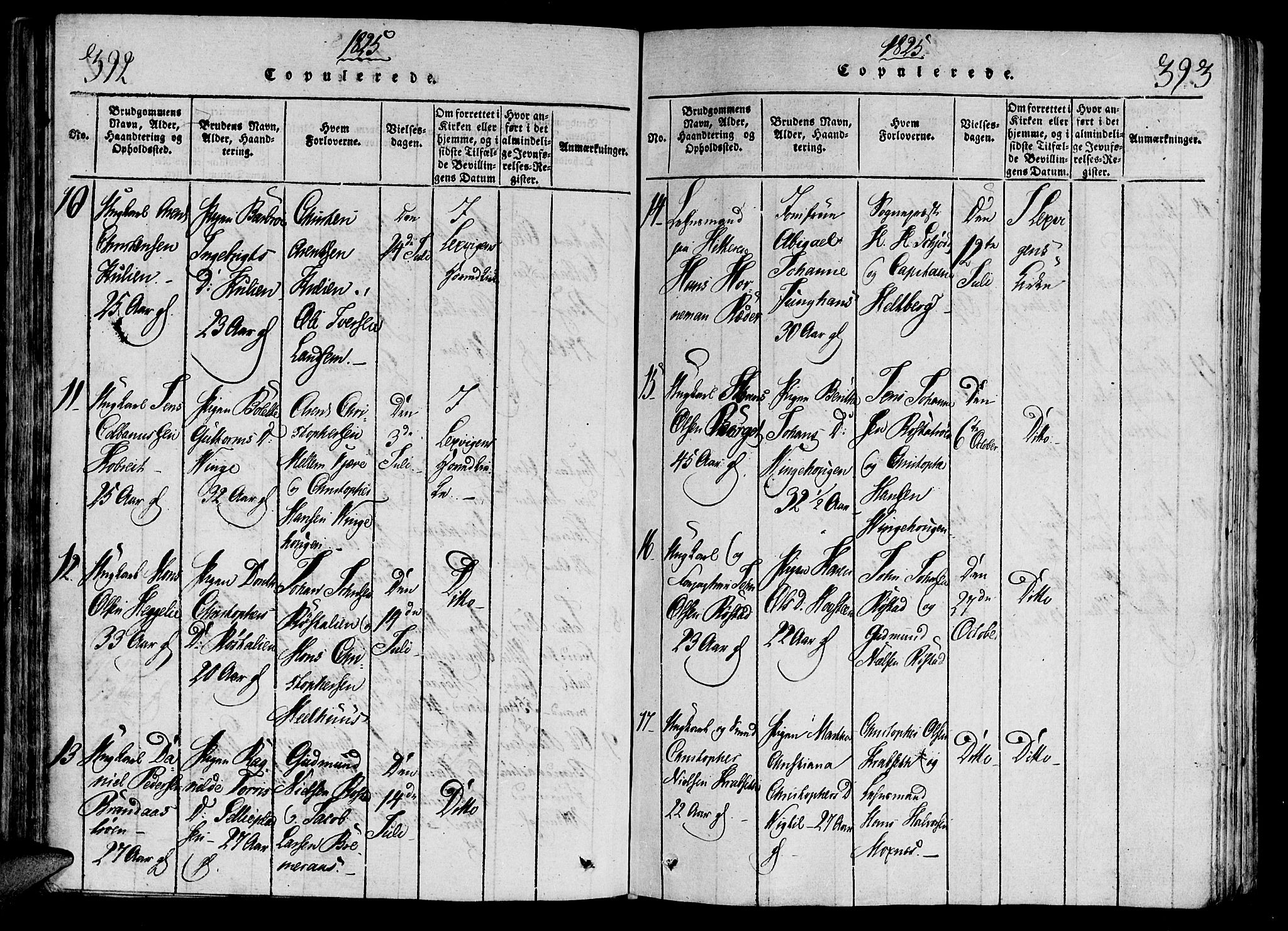 Ministerialprotokoller, klokkerbøker og fødselsregistre - Nord-Trøndelag, AV/SAT-A-1458/701/L0005: Parish register (official) no. 701A05 /1, 1816-1825, p. 392-393