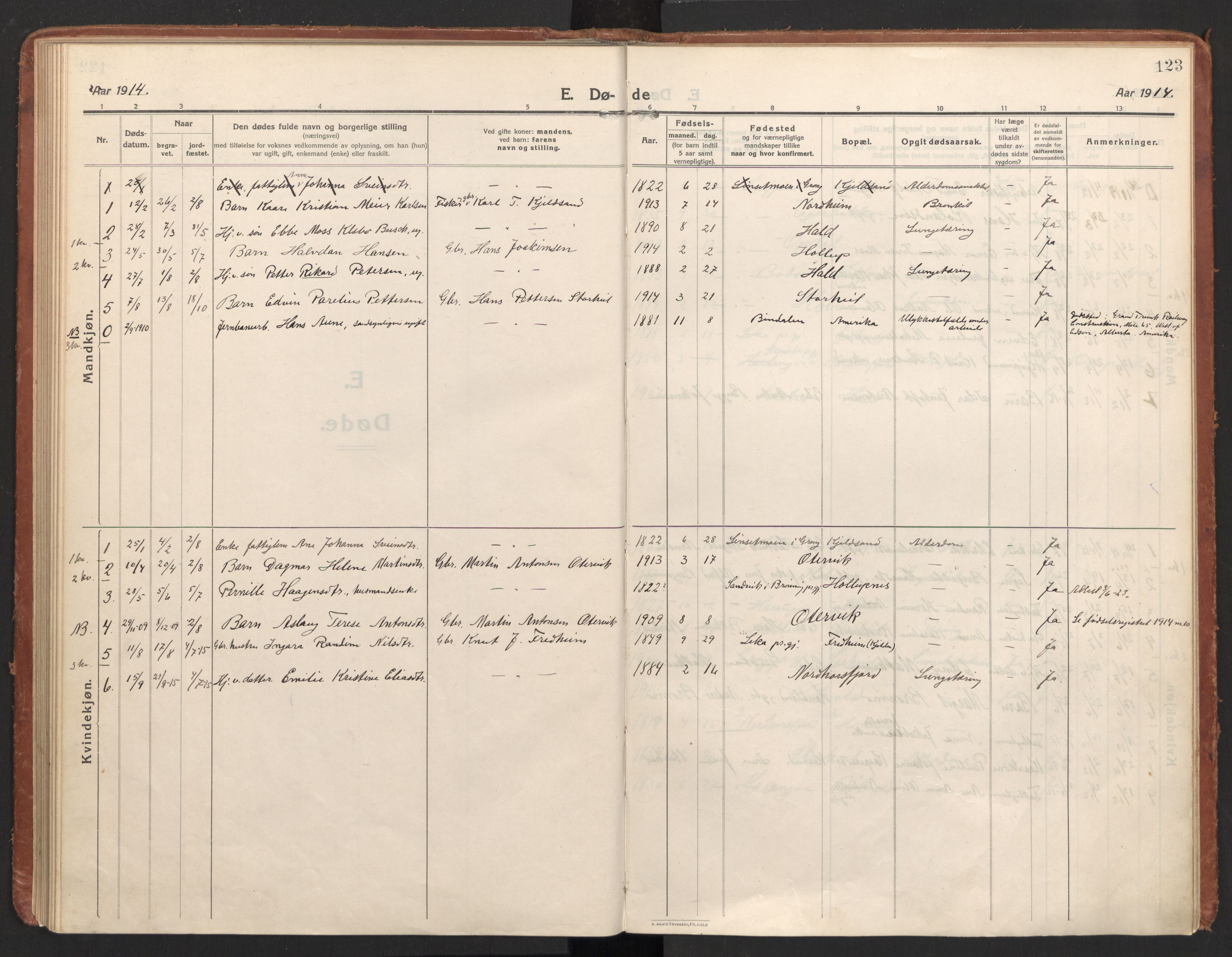 Ministerialprotokoller, klokkerbøker og fødselsregistre - Nordland, AV/SAT-A-1459/811/L0168: Parish register (official) no. 811A05, 1914-1932, p. 123