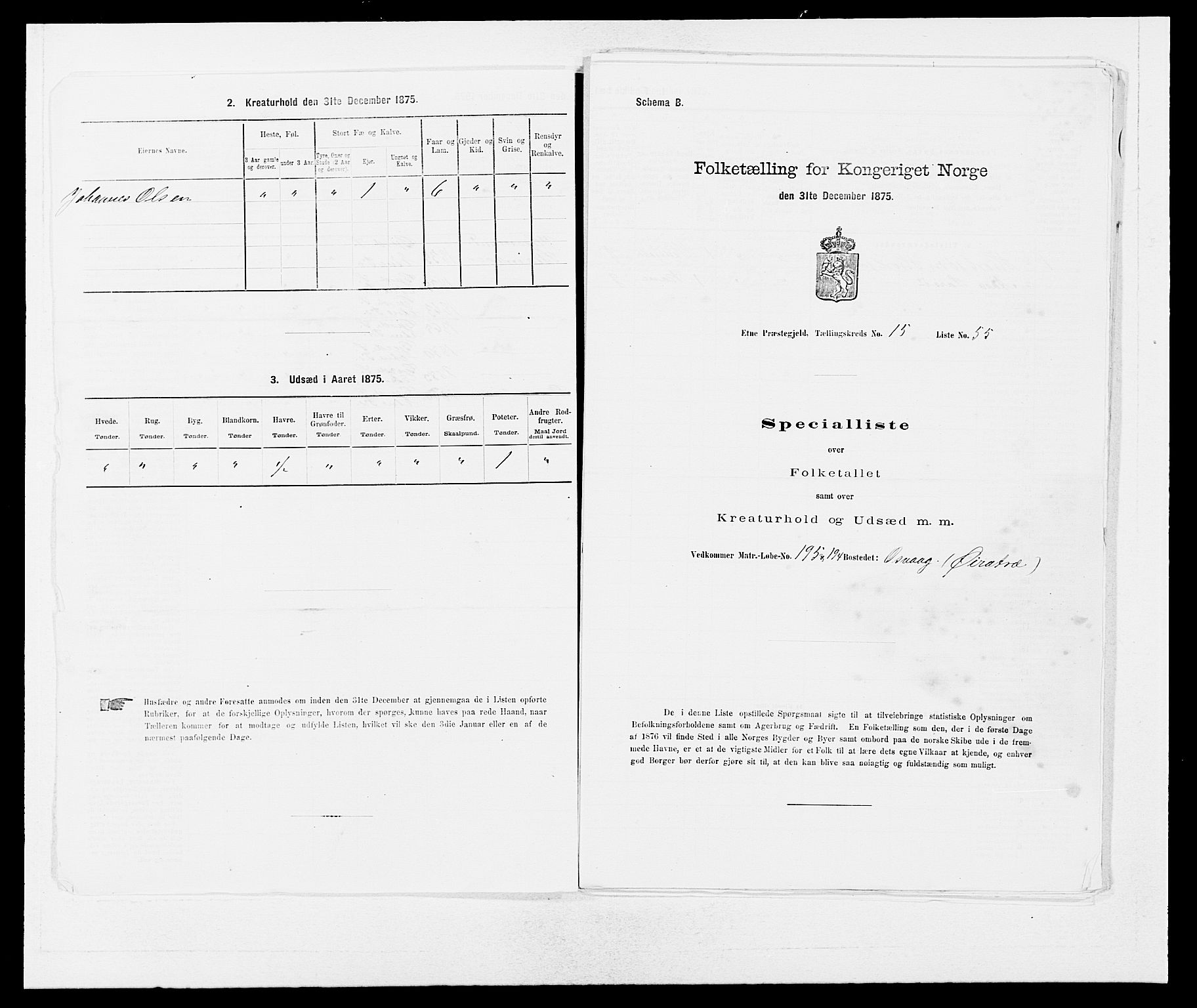 SAB, 1875 census for 1211P Etne, 1875, p. 1000