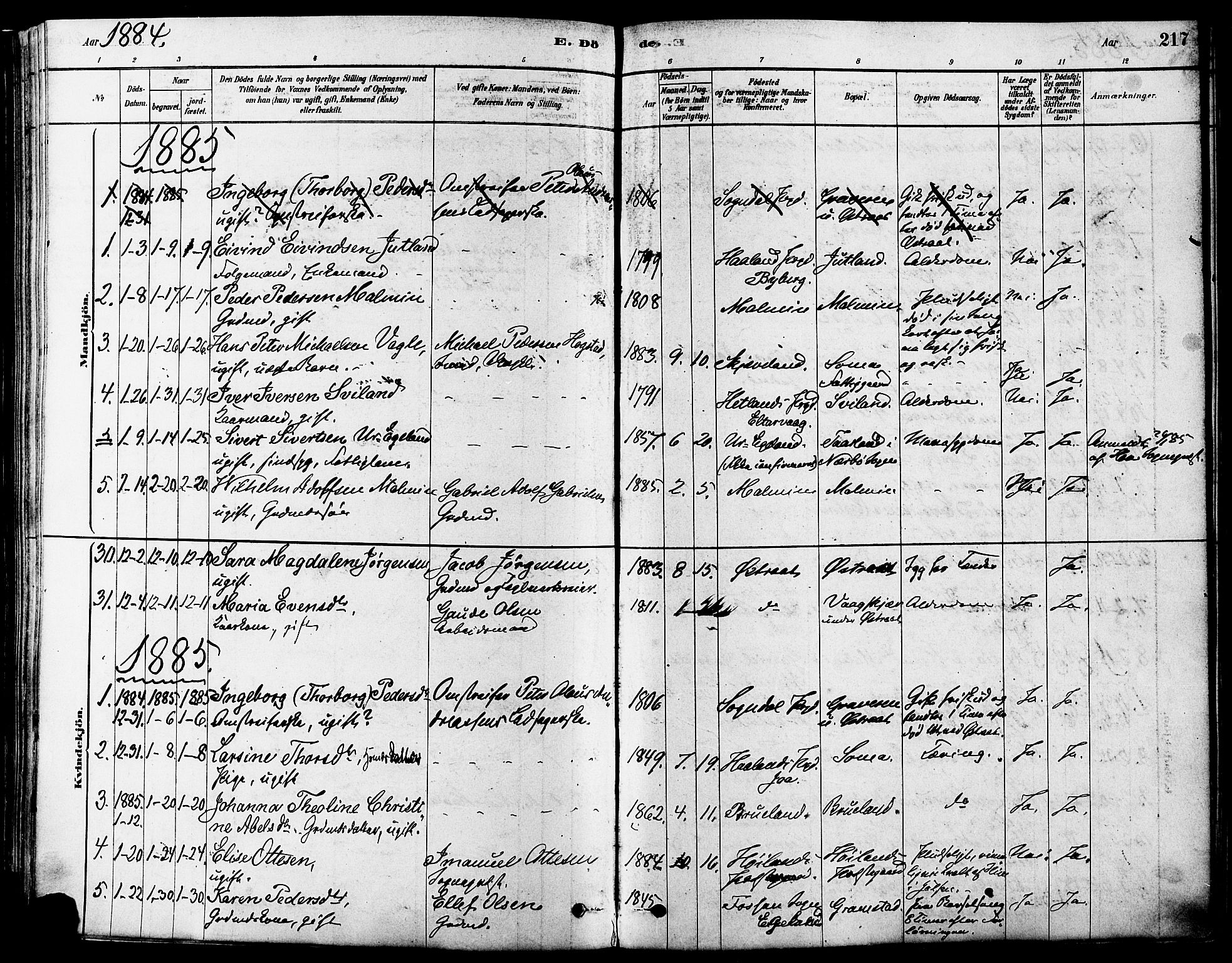 Høyland sokneprestkontor, SAST/A-101799/001/30BA/L0011: Parish register (official) no. A 10, 1878-1888, p. 217