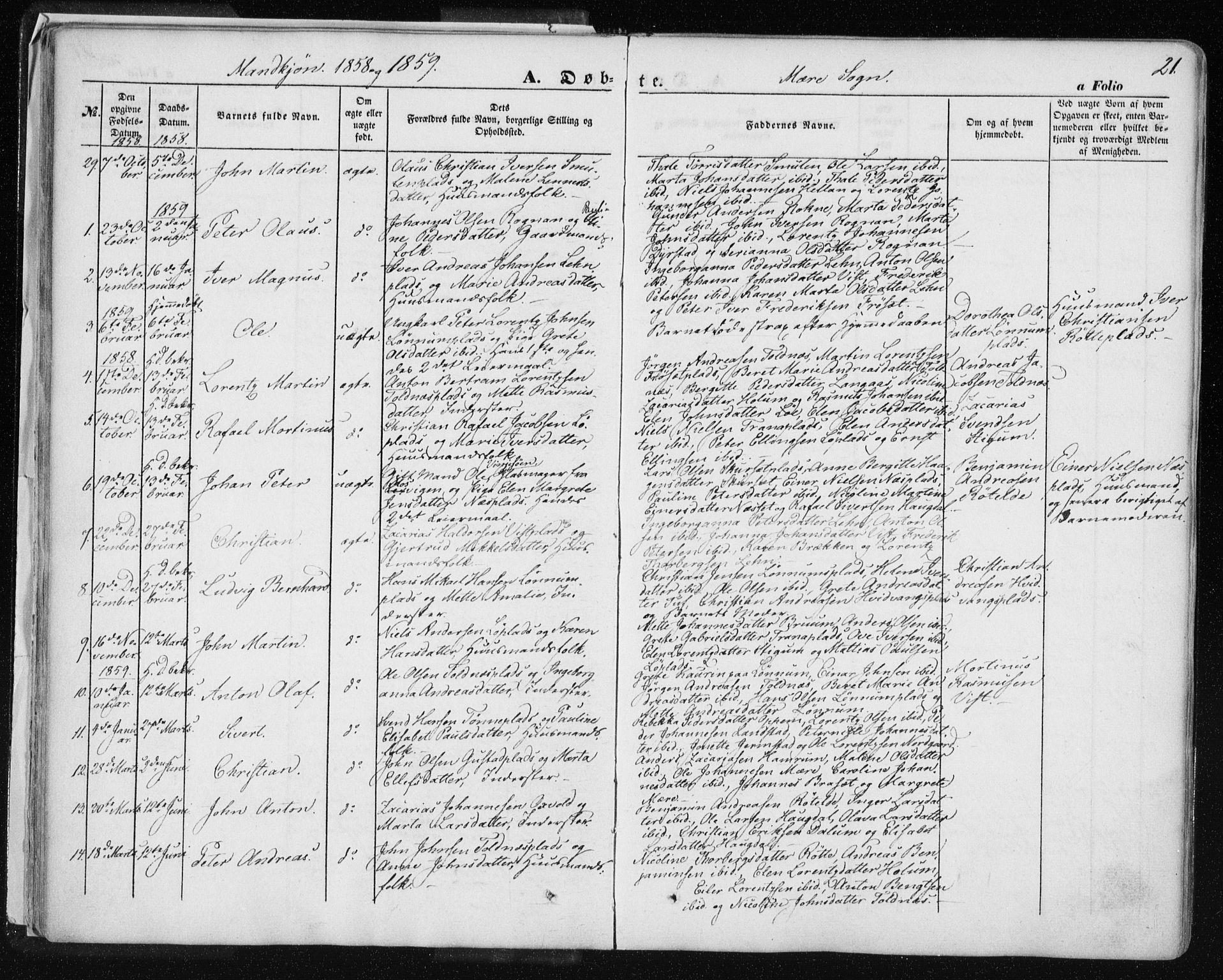 Ministerialprotokoller, klokkerbøker og fødselsregistre - Nord-Trøndelag, AV/SAT-A-1458/735/L0342: Parish register (official) no. 735A07 /1, 1849-1862, p. 21