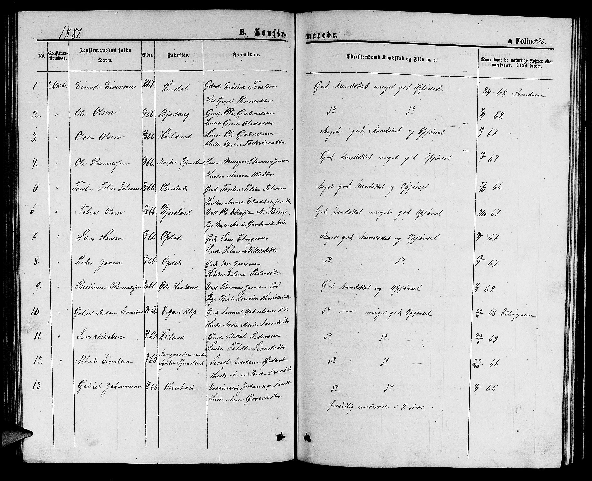 Hå sokneprestkontor, SAST/A-101801/001/30BB/L0001: Parish register (copy) no. B 1, 1854-1883, p. 236