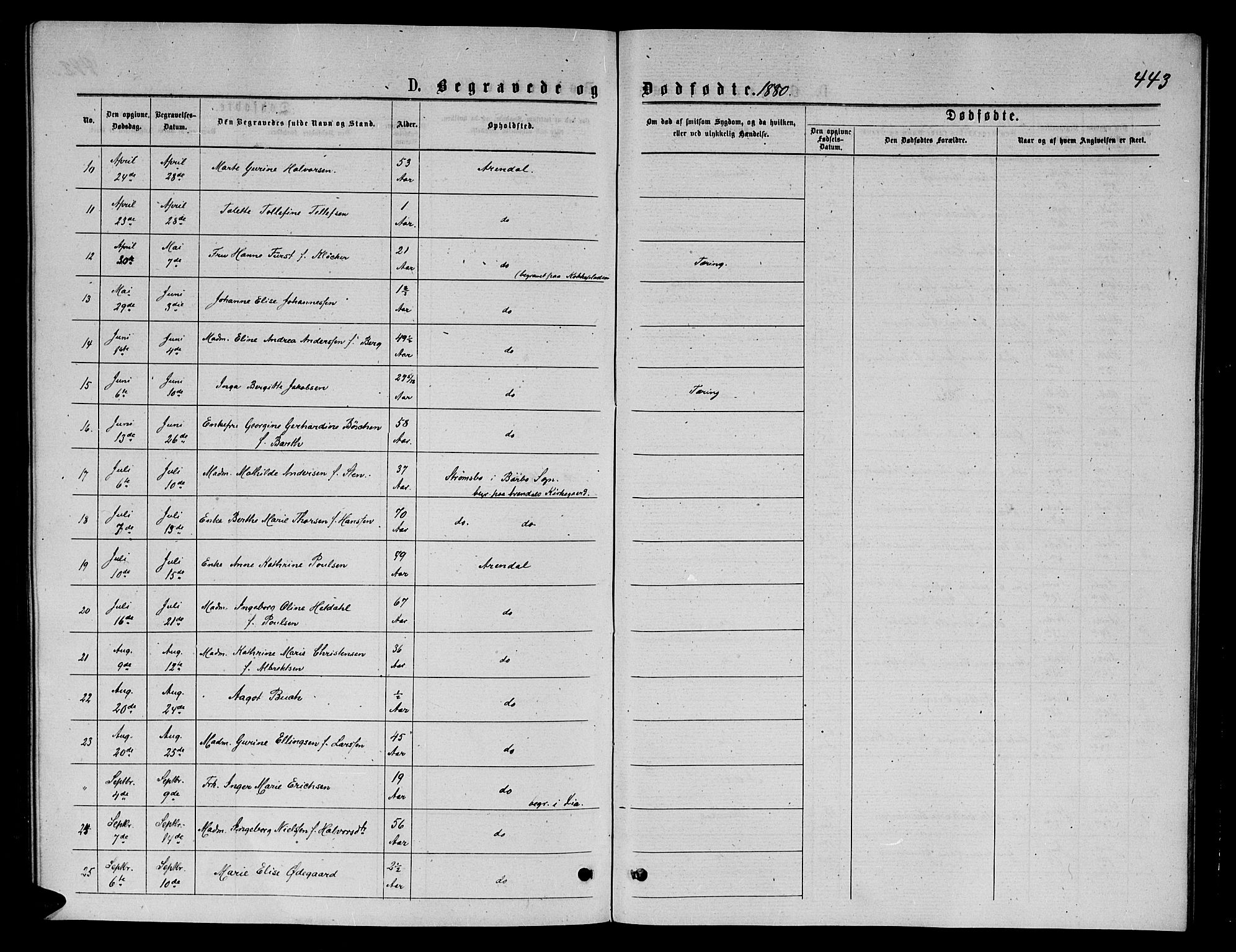 Arendal sokneprestkontor, Trefoldighet, AV/SAK-1111-0040/F/Fb/L0005: Parish register (copy) no. B 5, 1874-1888, p. 443