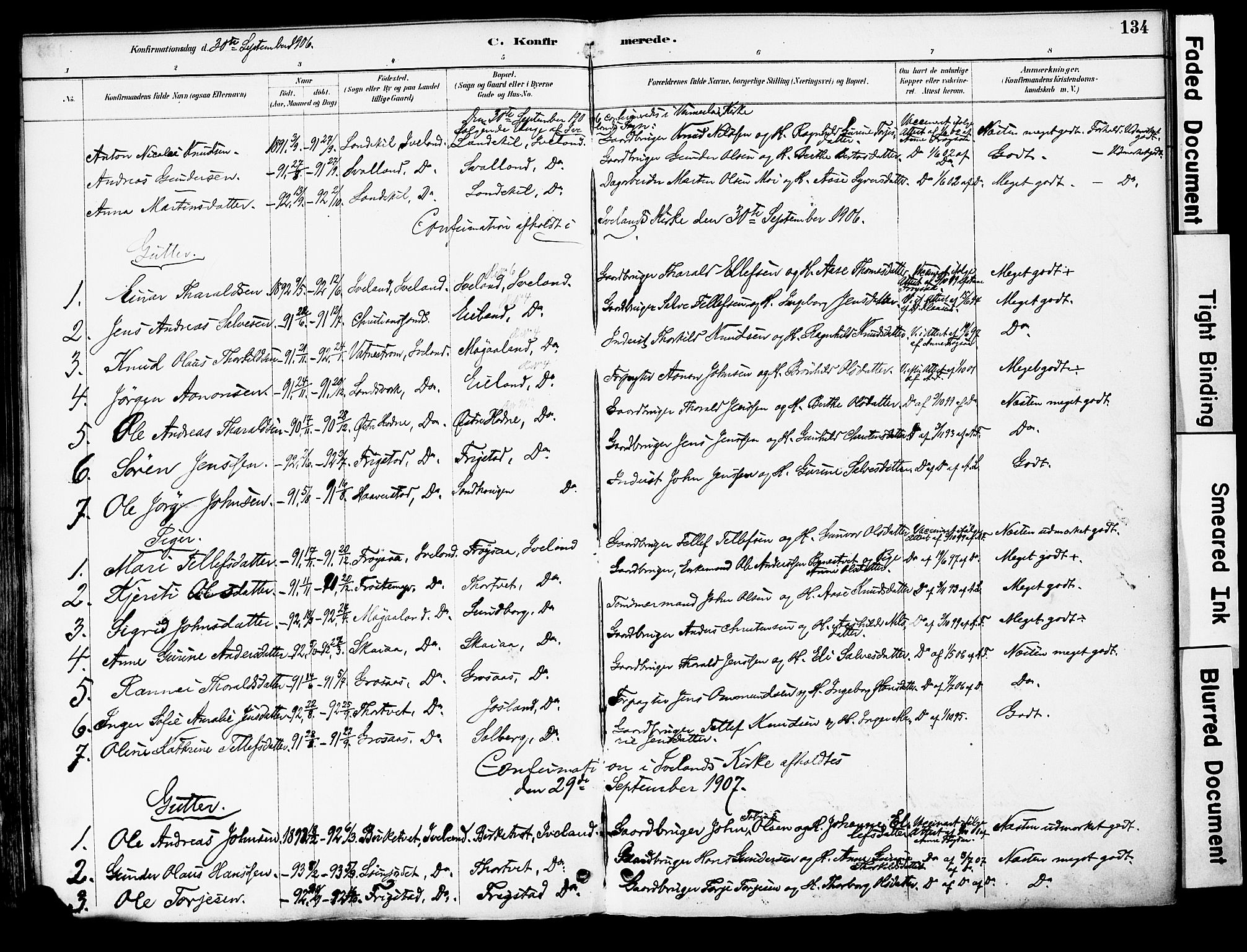 Evje sokneprestkontor, AV/SAK-1111-0008/F/Fa/Fac/L0003: Parish register (official) no. A 3, 1884-1909, p. 134