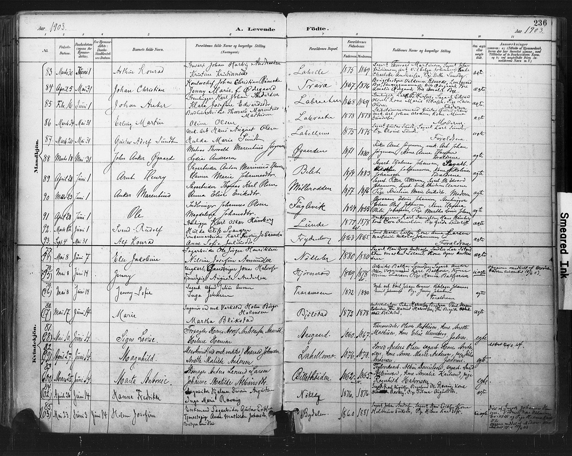 Glemmen prestekontor Kirkebøker, SAO/A-10908/F/Fa/L0013: Parish register (official) no. 13, 1892-1907, p. 236
