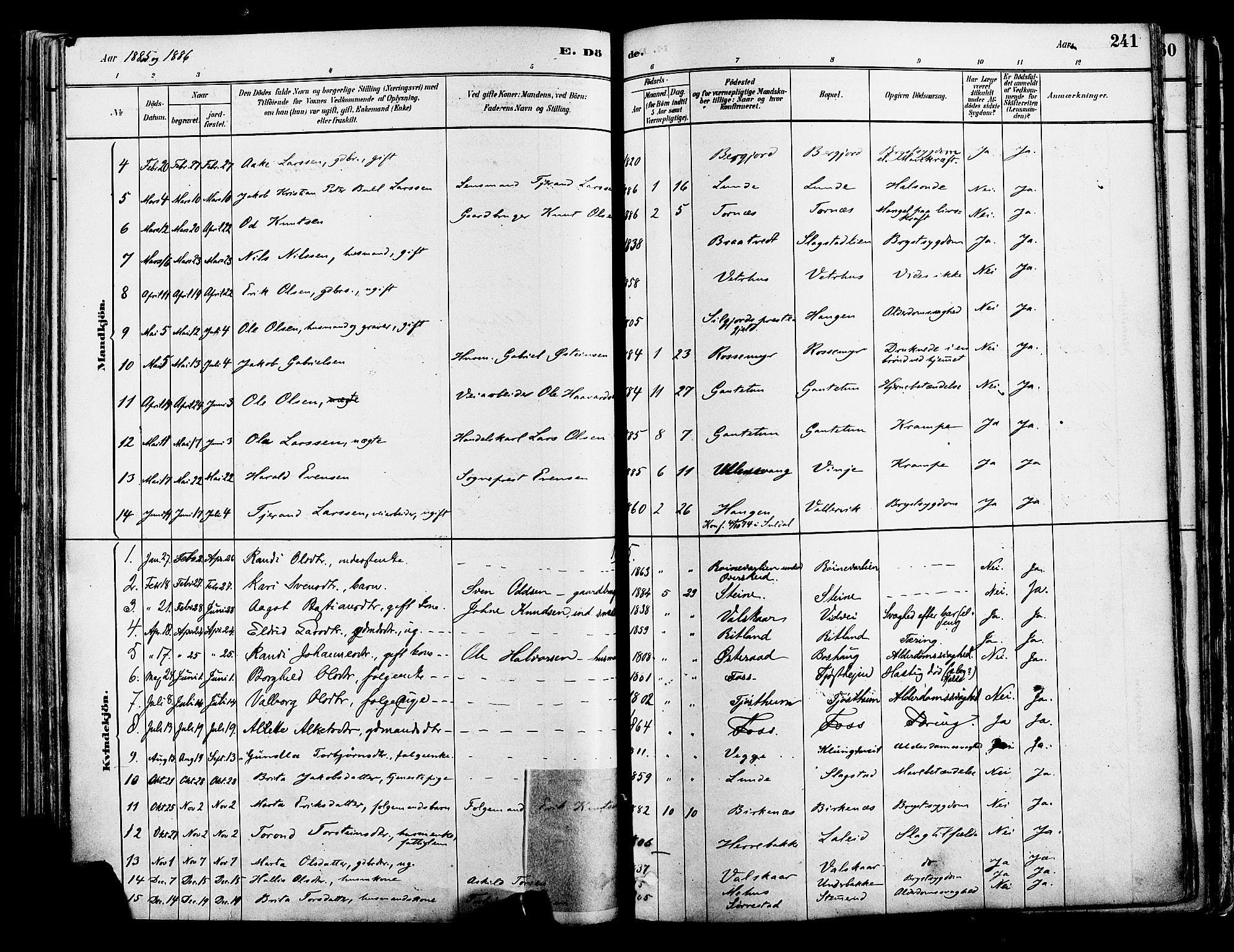 Suldal sokneprestkontor, AV/SAST-A-101845/01/IV/L0011: Parish register (official) no. A 11, 1878-1900, p. 241