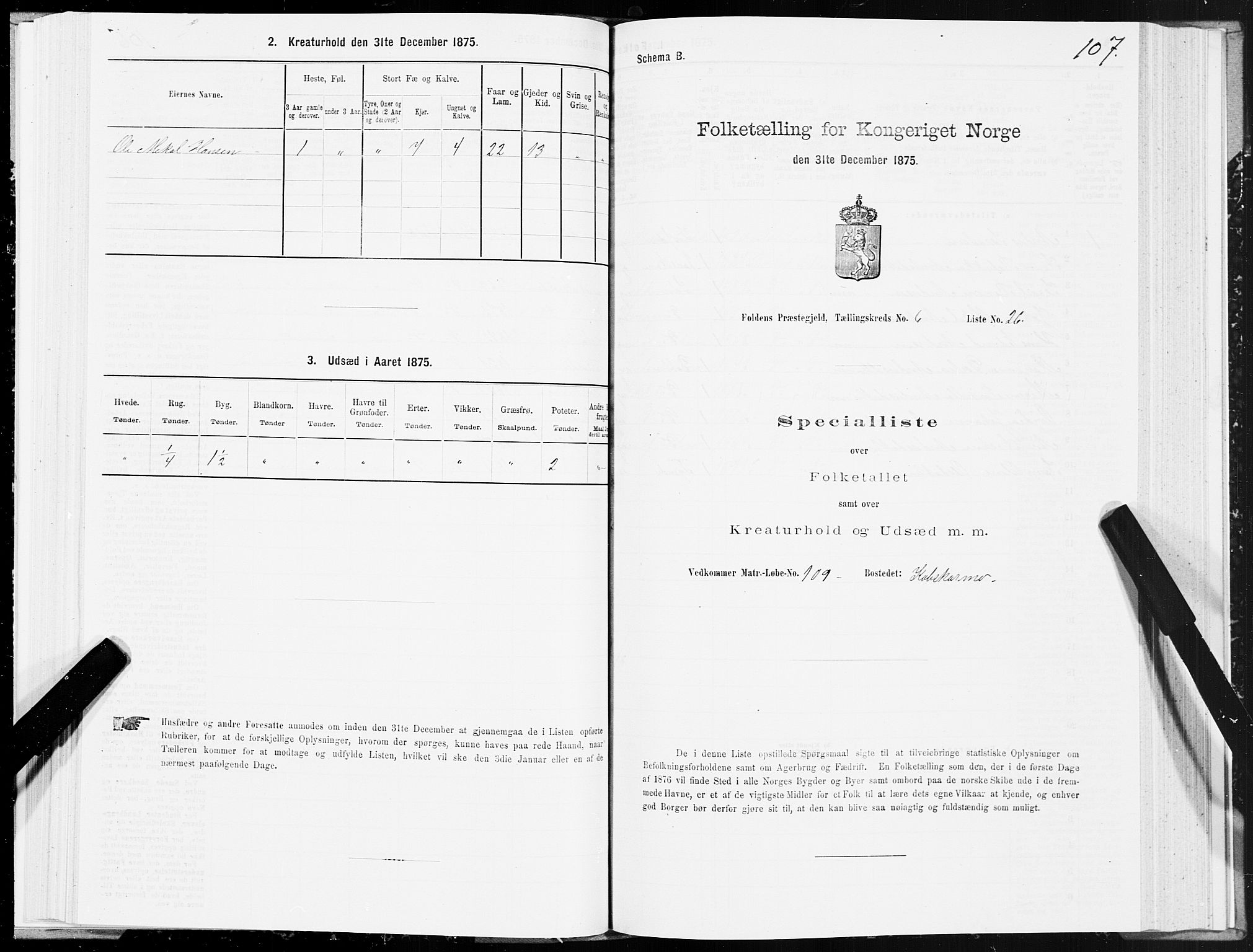 SAT, 1875 census for 1845P Folda, 1875, p. 2107