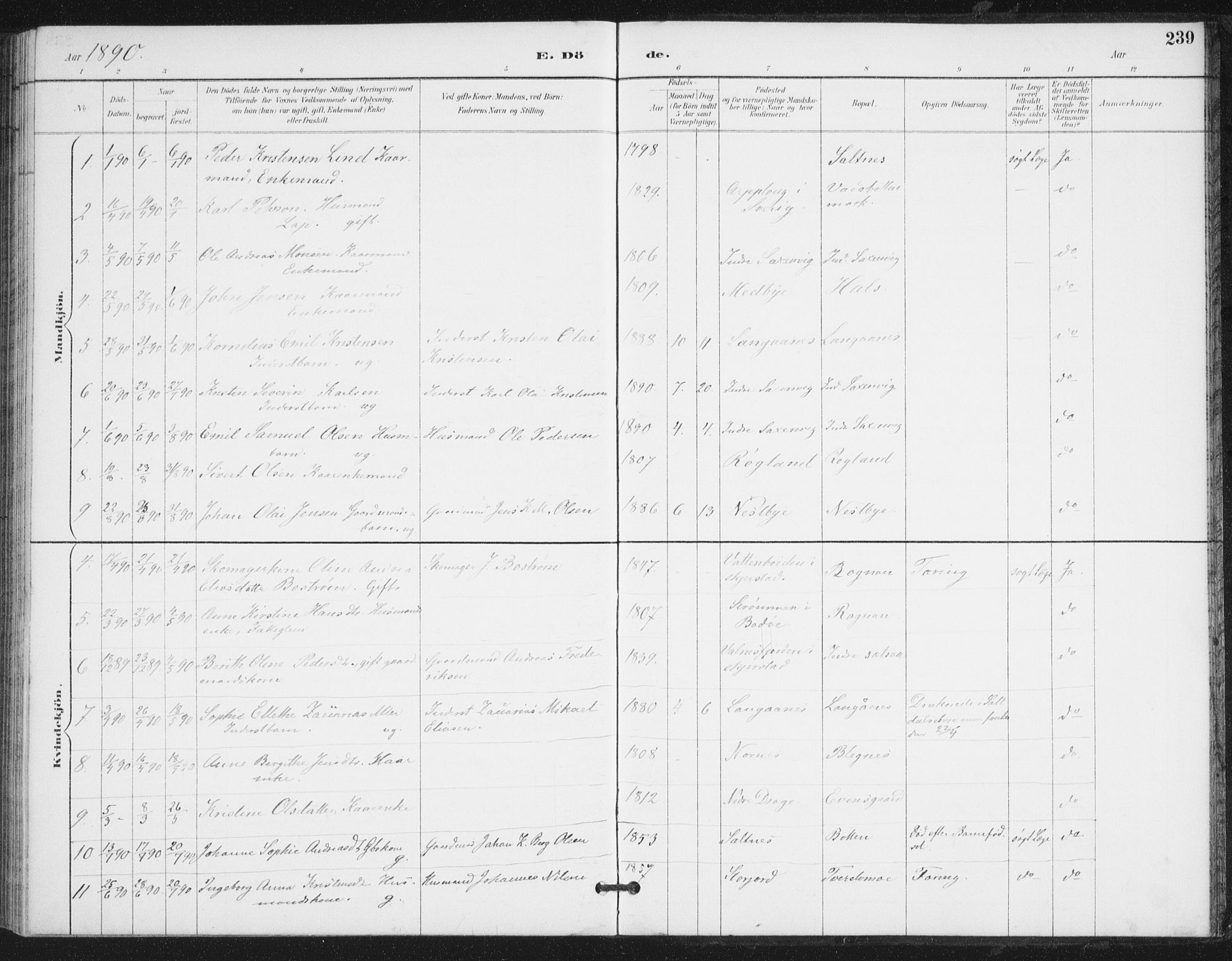 Ministerialprotokoller, klokkerbøker og fødselsregistre - Nordland, AV/SAT-A-1459/847/L0682: Parish register (copy) no. 847C10, 1889-1907, p. 239