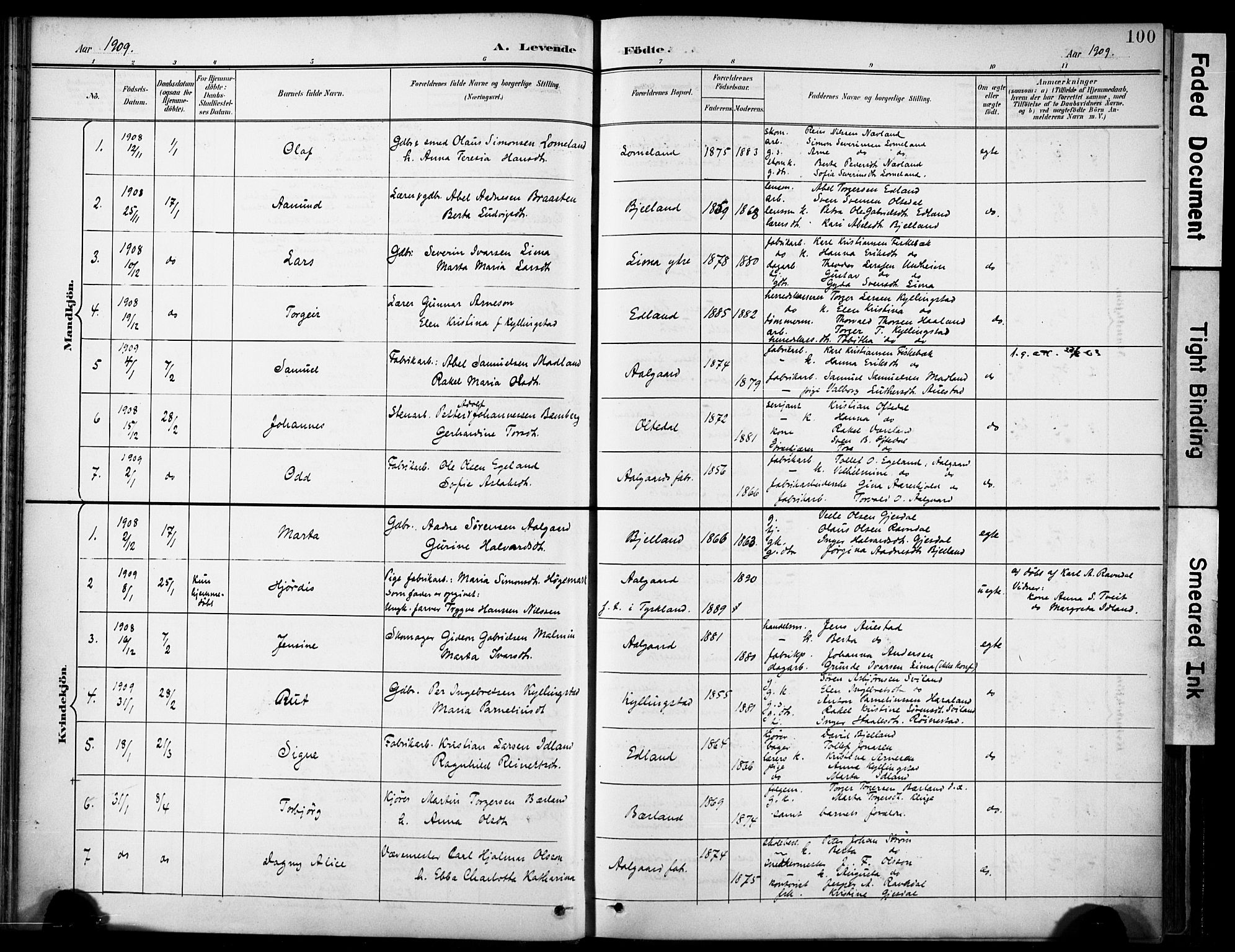 Lye sokneprestkontor, SAST/A-101794/001/30BA/L0012: Parish register (official) no. A 11, 1896-1909, p. 100
