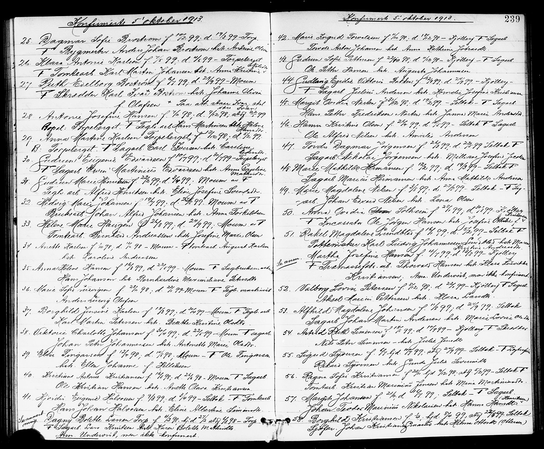 Borge prestekontor Kirkebøker, SAO/A-10903/G/Ga/L0002: Parish register (copy) no. I 2, 1875-1923, p. 239