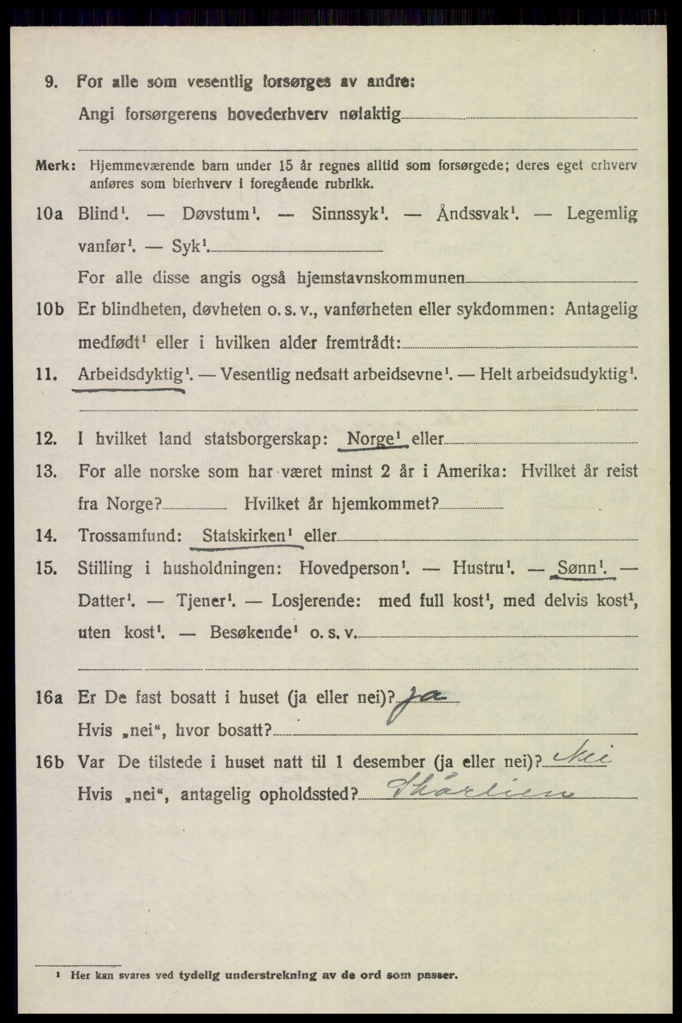 SAH, 1920 census for Trysil, 1920, p. 5374