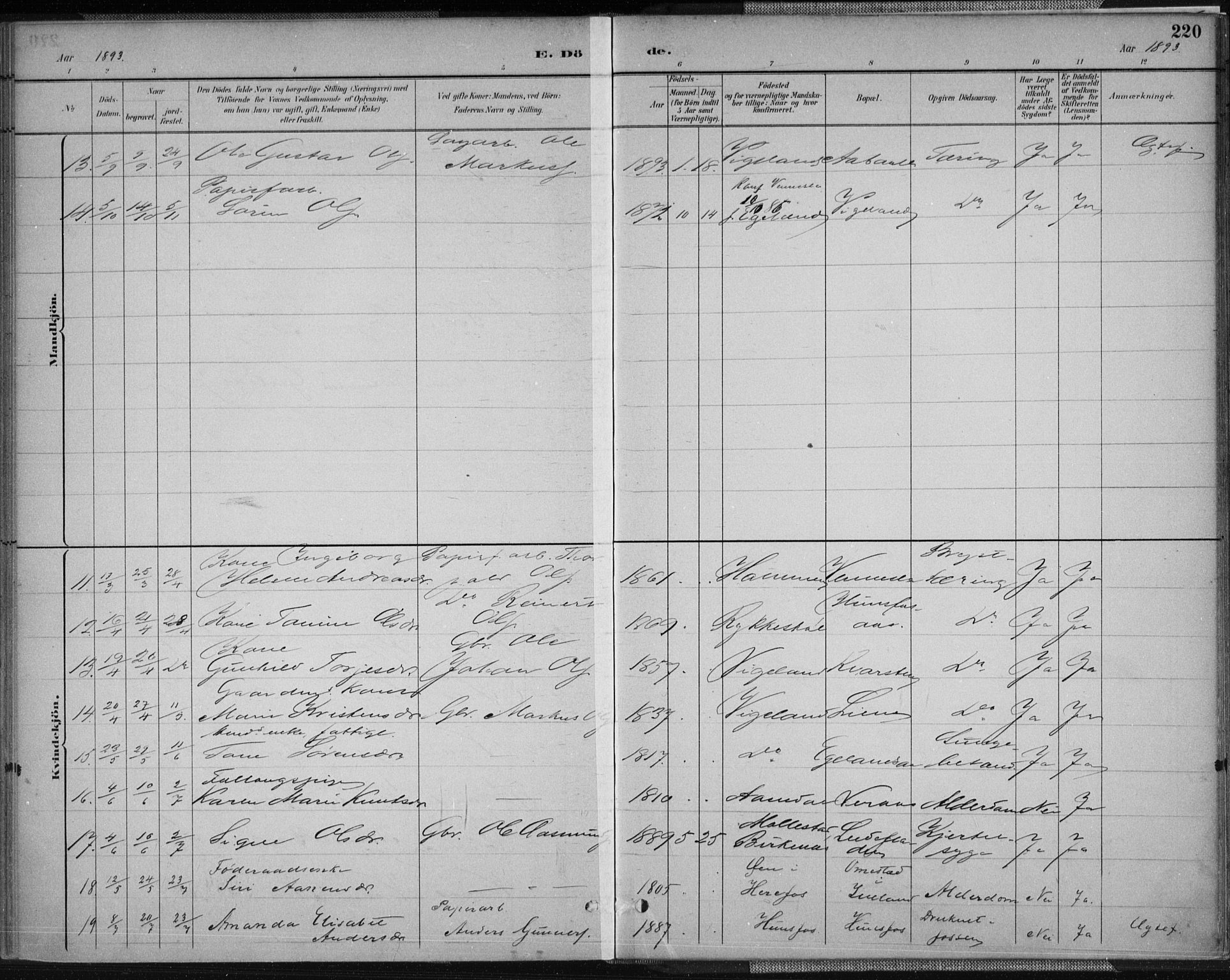 Vennesla sokneprestkontor, AV/SAK-1111-0045/Fa/Fab/L0004: Parish register (official) no. A 4, 1884-1896, p. 220