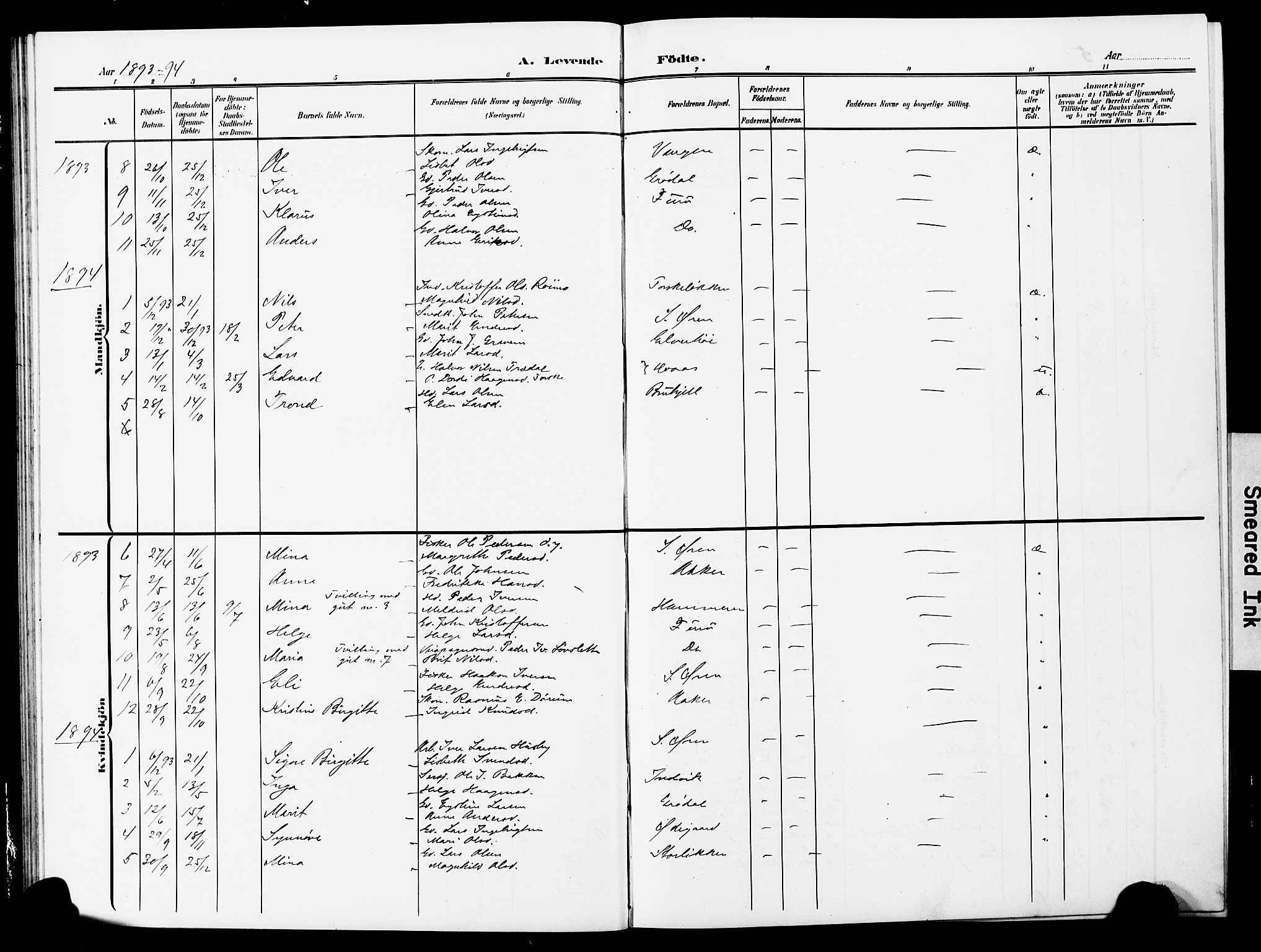 Ministerialprotokoller, klokkerbøker og fødselsregistre - Møre og Romsdal, AV/SAT-A-1454/590/L1017: Parish register (copy) no. 590C02, 1869-1931