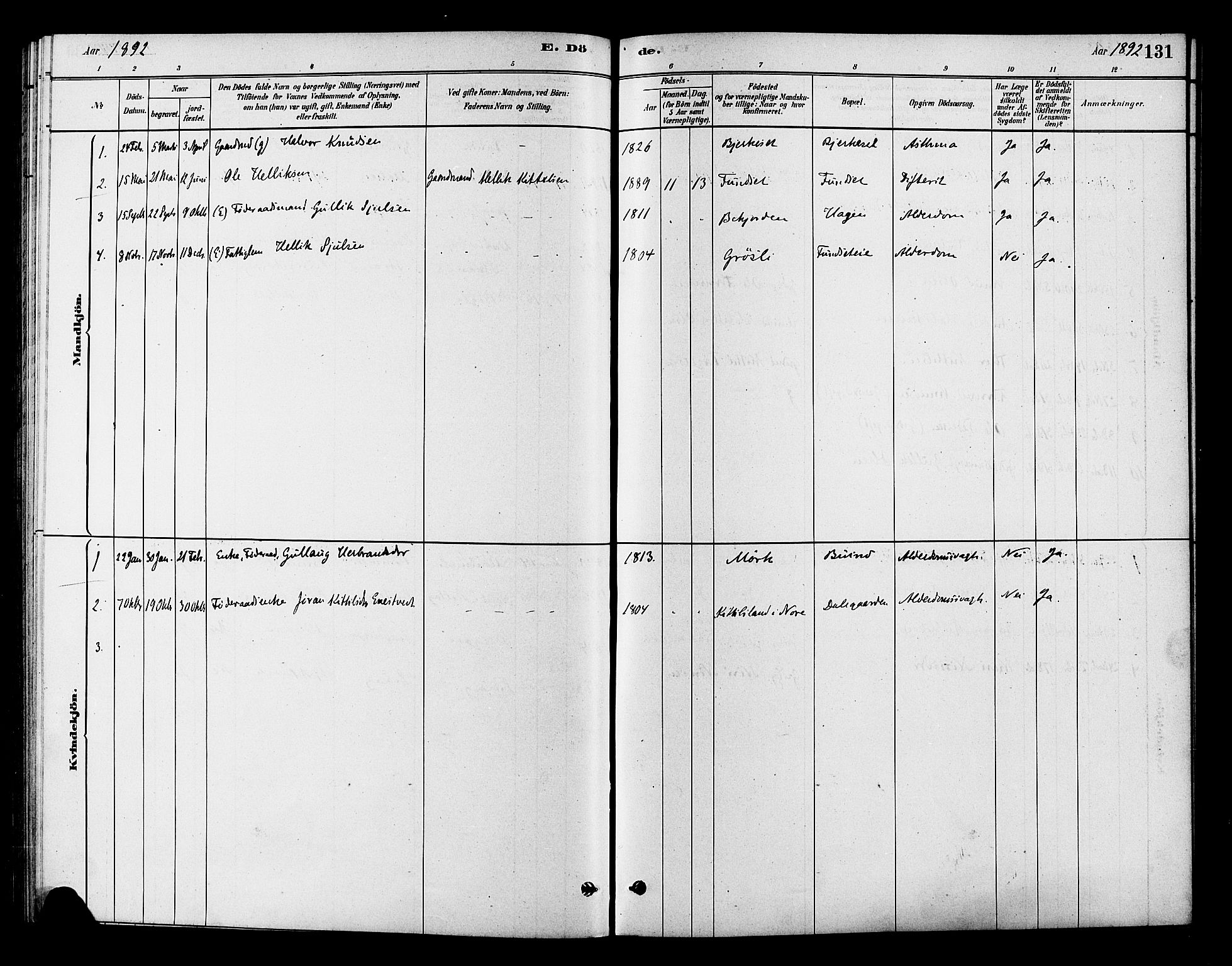 Flesberg kirkebøker, SAKO/A-18/F/Fc/L0001: Parish register (official) no. III 1, 1879-1905, p. 131