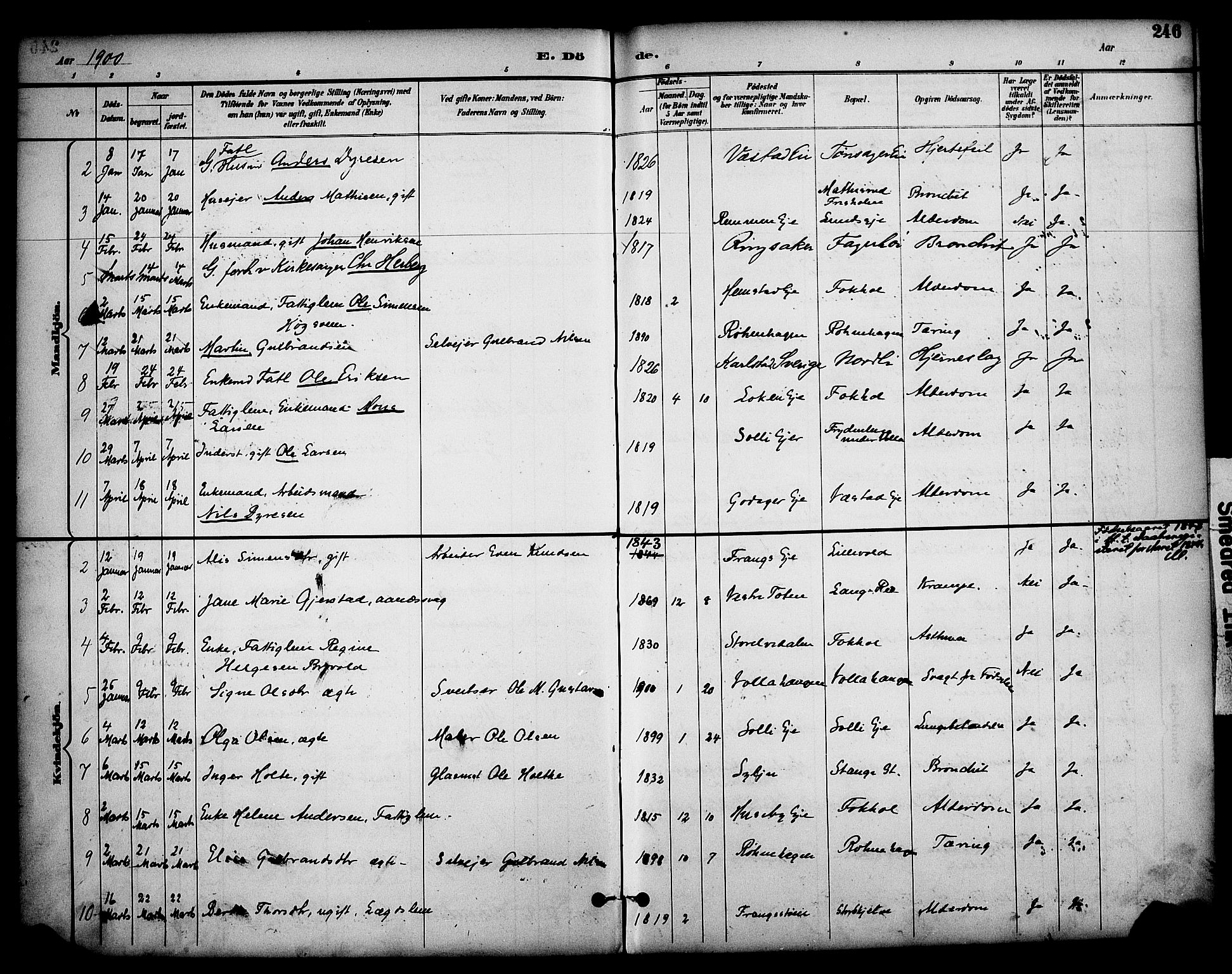 Stange prestekontor, AV/SAH-PREST-002/K/L0020: Parish register (official) no. 20, 1894-1905, p. 246