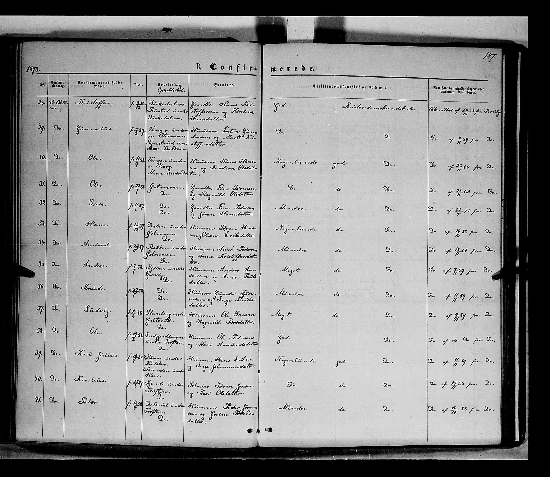 Nord-Odal prestekontor, AV/SAH-PREST-032/H/Ha/Haa/L0004: Parish register (official) no. 4, 1866-1873, p. 147