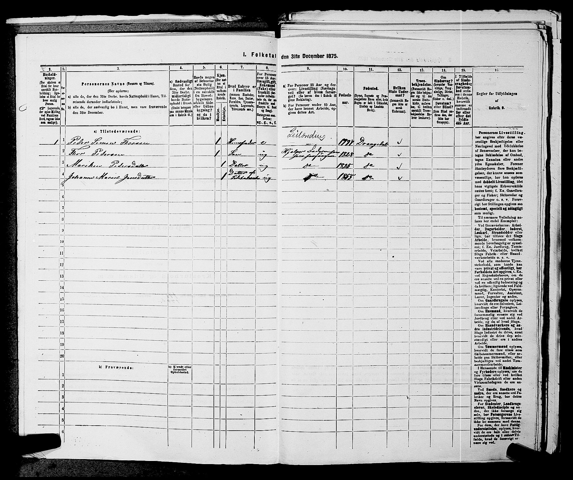 SAKO, 1875 census for 0817P Drangedal, 1875, p. 1012