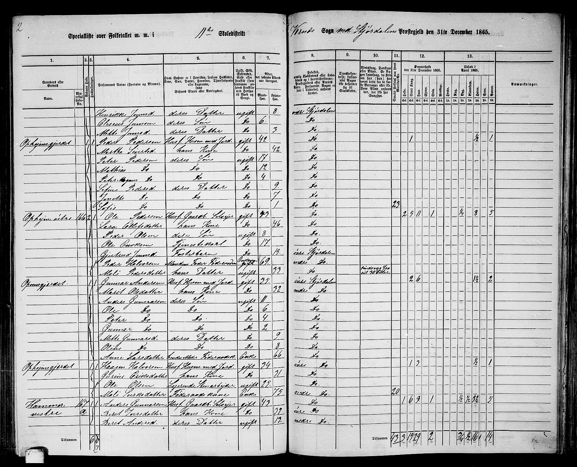 RA, 1865 census for Nedre Stjørdal, 1865, p. 221