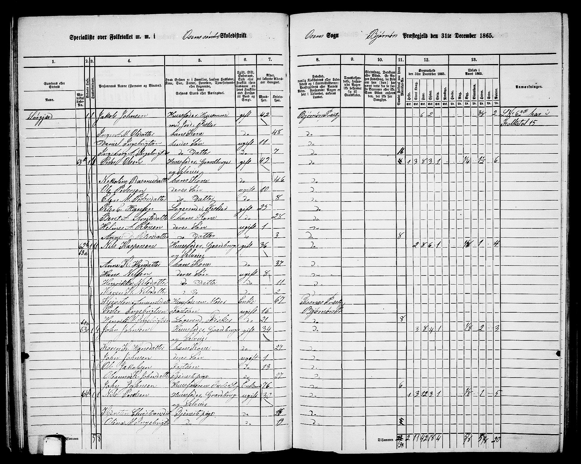 RA, 1865 census for Bjørnør, 1865, p. 49