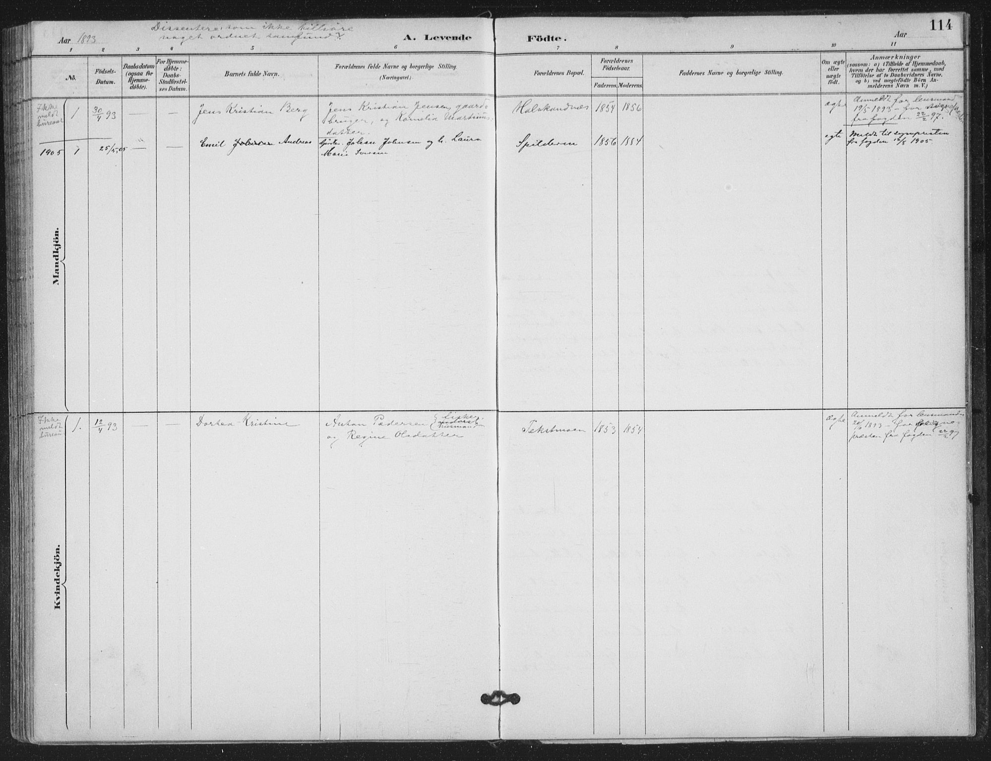 Ministerialprotokoller, klokkerbøker og fødselsregistre - Nordland, SAT/A-1459/843/L0628: Parish register (official) no. 843A03, 1889-1907, p. 114