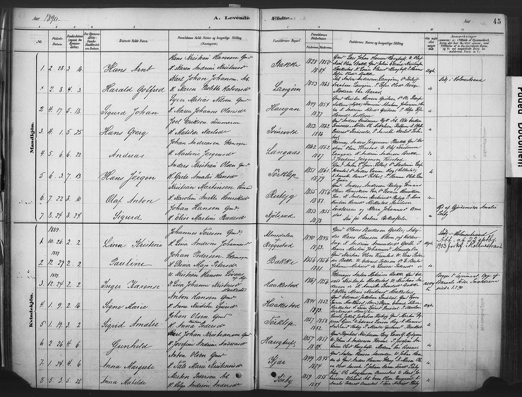 Våle kirkebøker, SAKO/A-334/F/Fa/L0011: Parish register (official) no. I 11, 1878-1906, p. 45