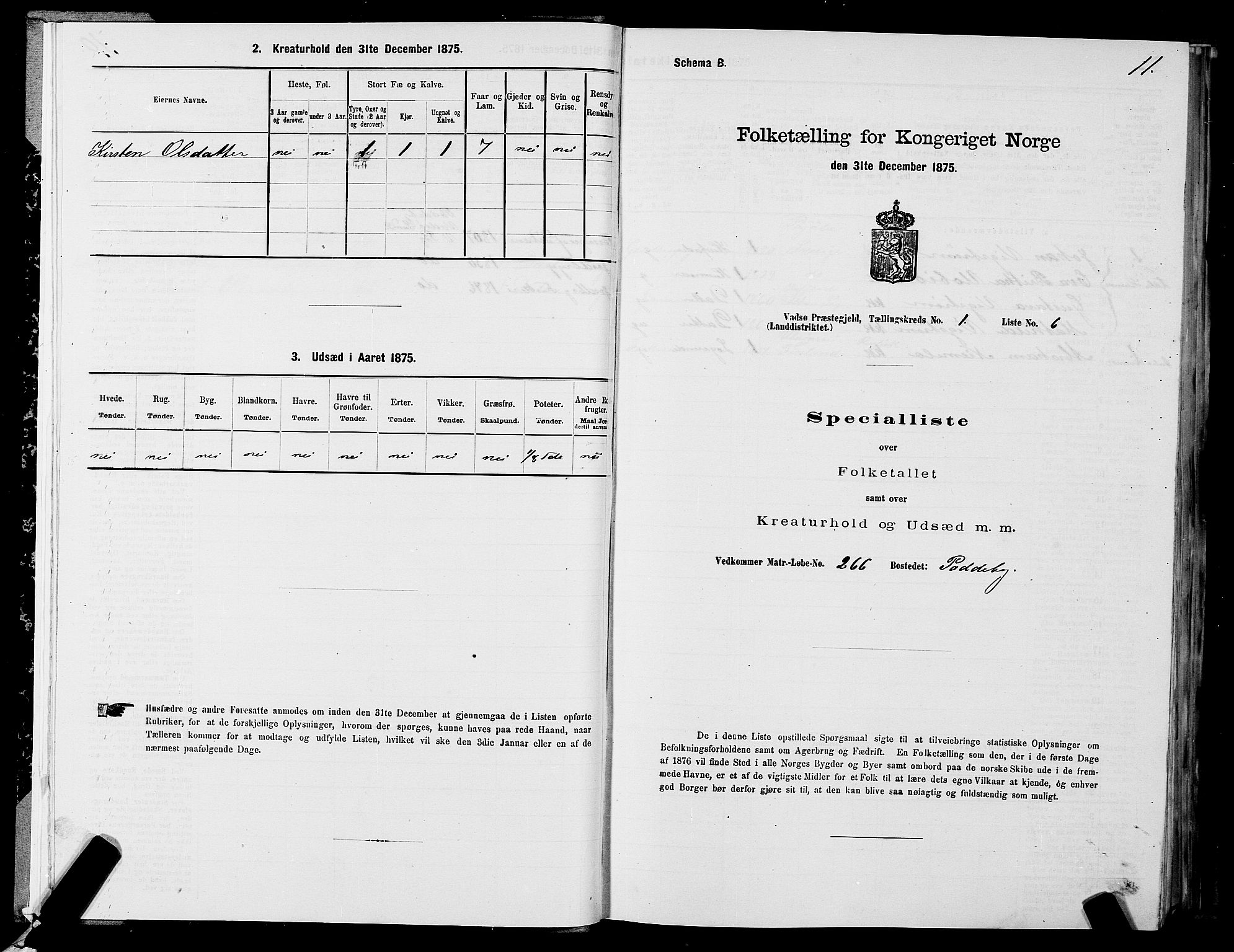 SATØ, 1875 census for 2029L Vadsø/Vadsø, 1875, p. 1011