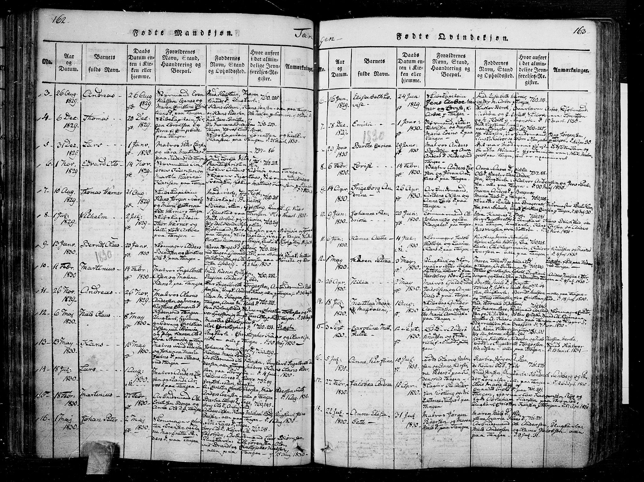 Skoger kirkebøker, SAKO/A-59/F/Fa/L0002: Parish register (official) no. I 2 /2, 1814-1842, p. 162-163