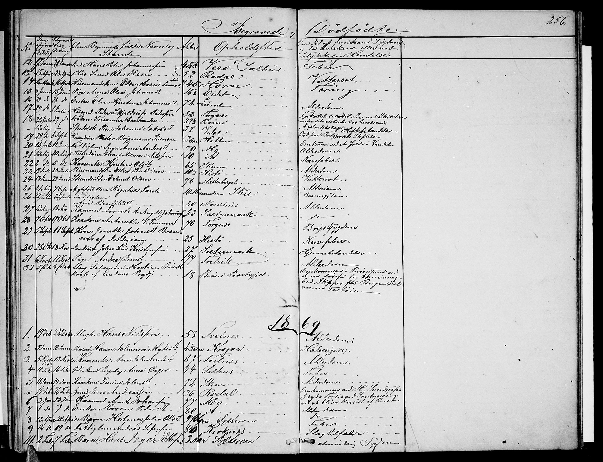 Ministerialprotokoller, klokkerbøker og fødselsregistre - Nordland, AV/SAT-A-1459/813/L0212: Parish register (copy) no. 813C04, 1864-1886, p. 256