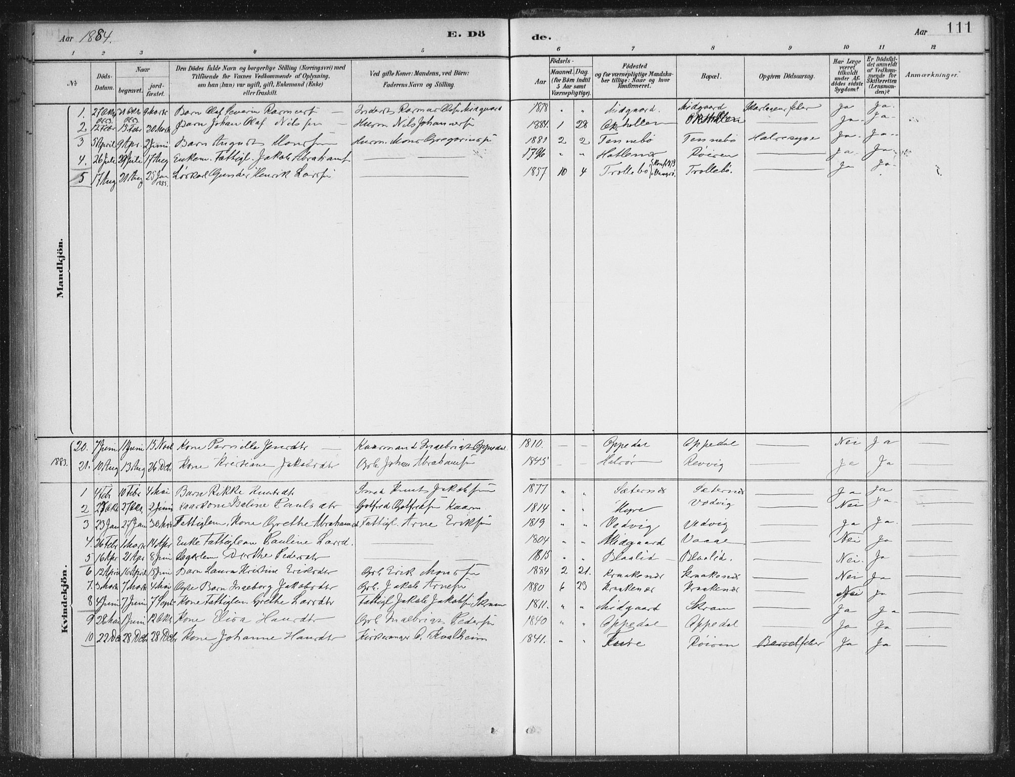 Selje sokneprestembete, AV/SAB-A-99938/H/Ha/Haa/Haac/L0001: Parish register (official) no. C  1, 1881-1888, p. 111