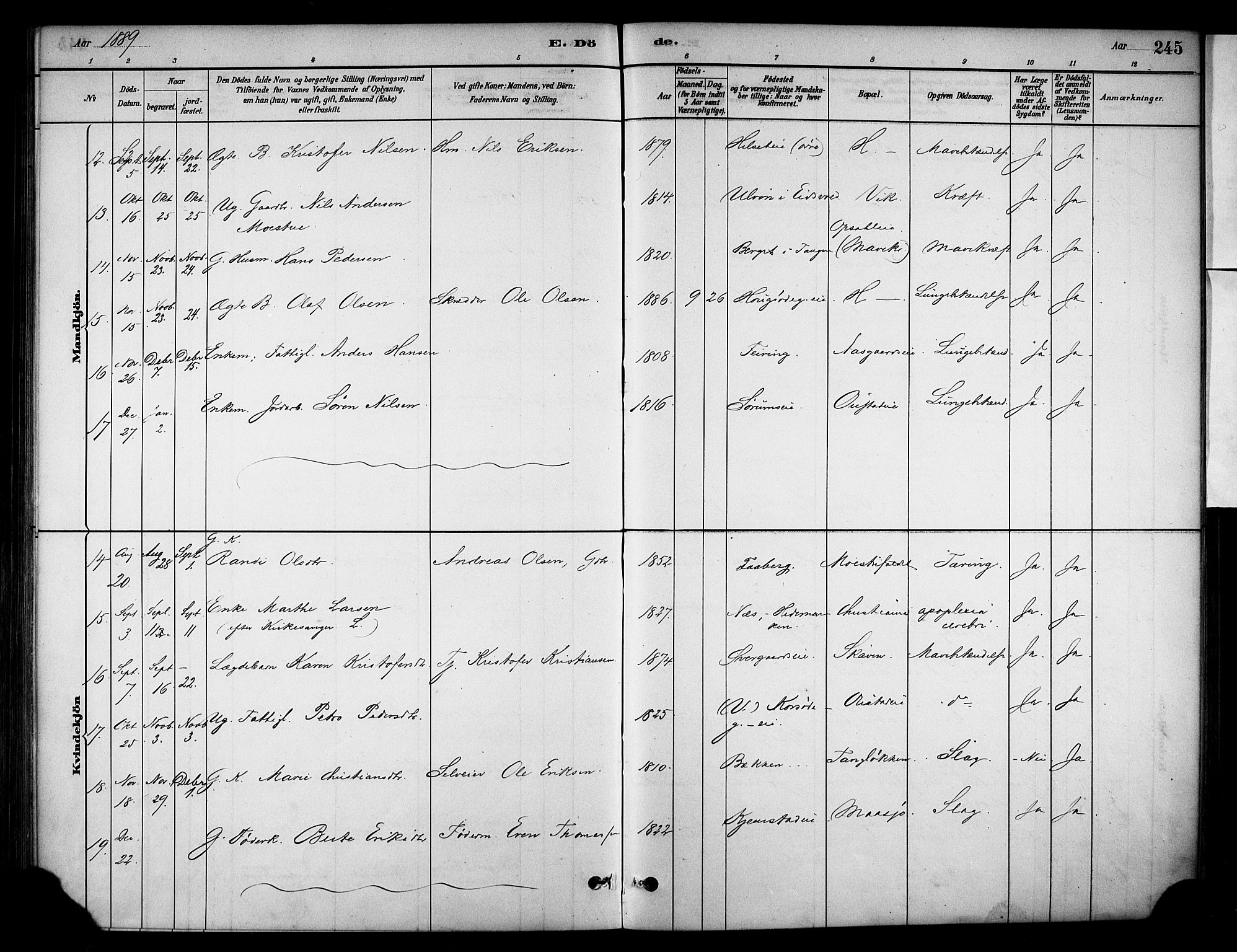 Stange prestekontor, AV/SAH-PREST-002/K/L0018: Parish register (official) no. 18, 1880-1896, p. 245