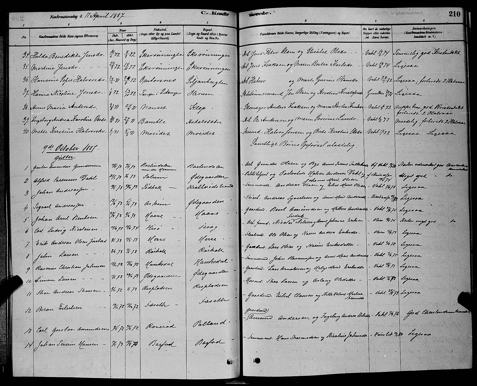 Bamble kirkebøker, AV/SAKO-A-253/G/Ga/L0008: Parish register (copy) no. I 8, 1878-1888, p. 210