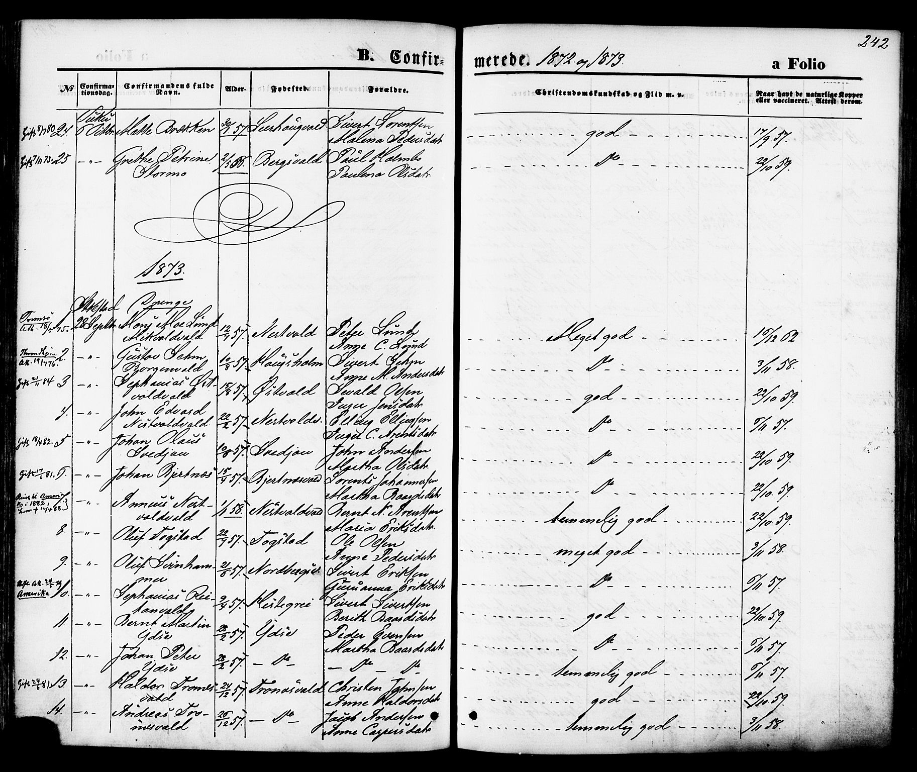 Ministerialprotokoller, klokkerbøker og fødselsregistre - Nord-Trøndelag, SAT/A-1458/723/L0242: Parish register (official) no. 723A11, 1870-1880, p. 242