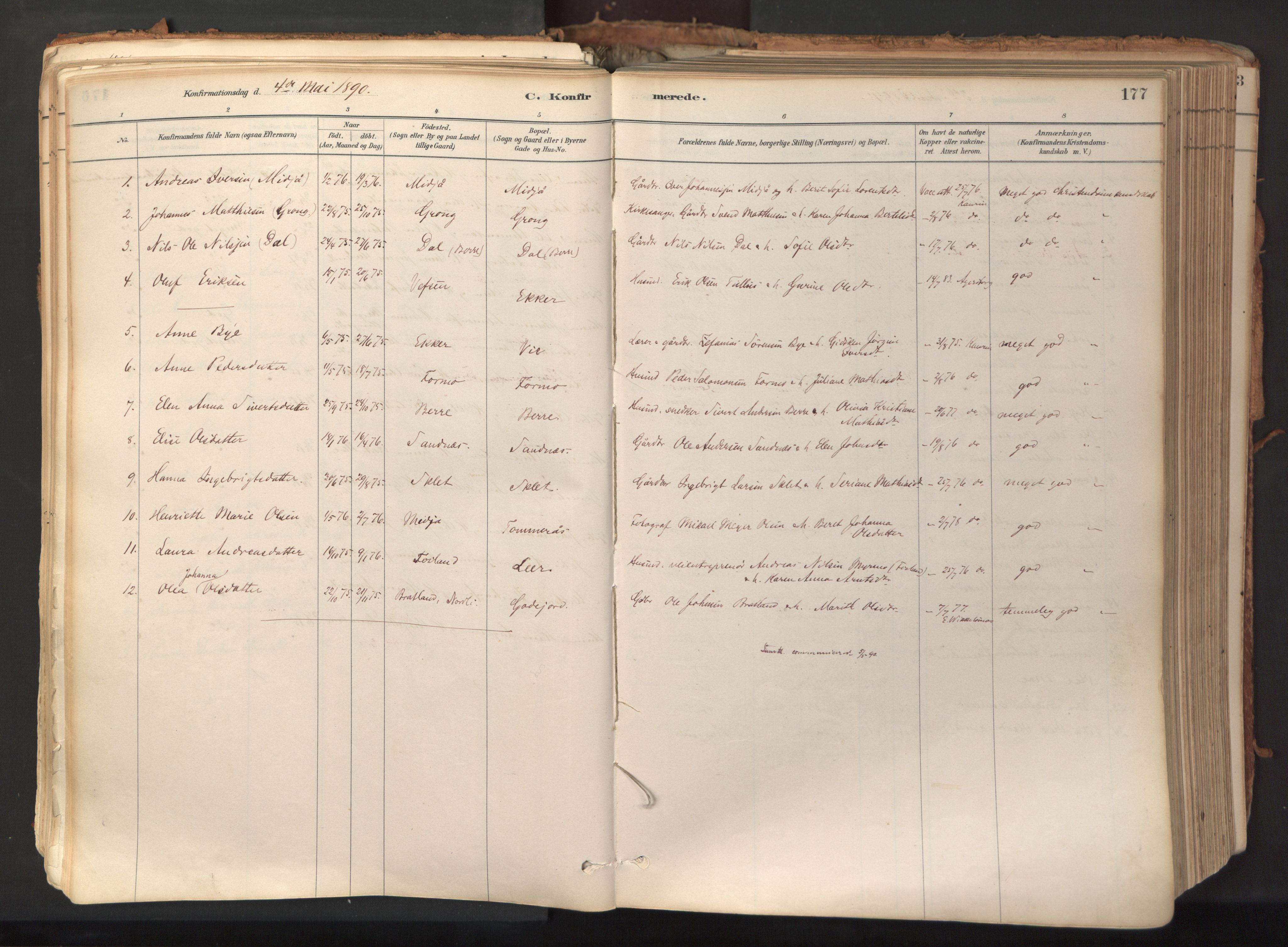 Ministerialprotokoller, klokkerbøker og fødselsregistre - Nord-Trøndelag, SAT/A-1458/758/L0519: Parish register (official) no. 758A04, 1880-1926, p. 177