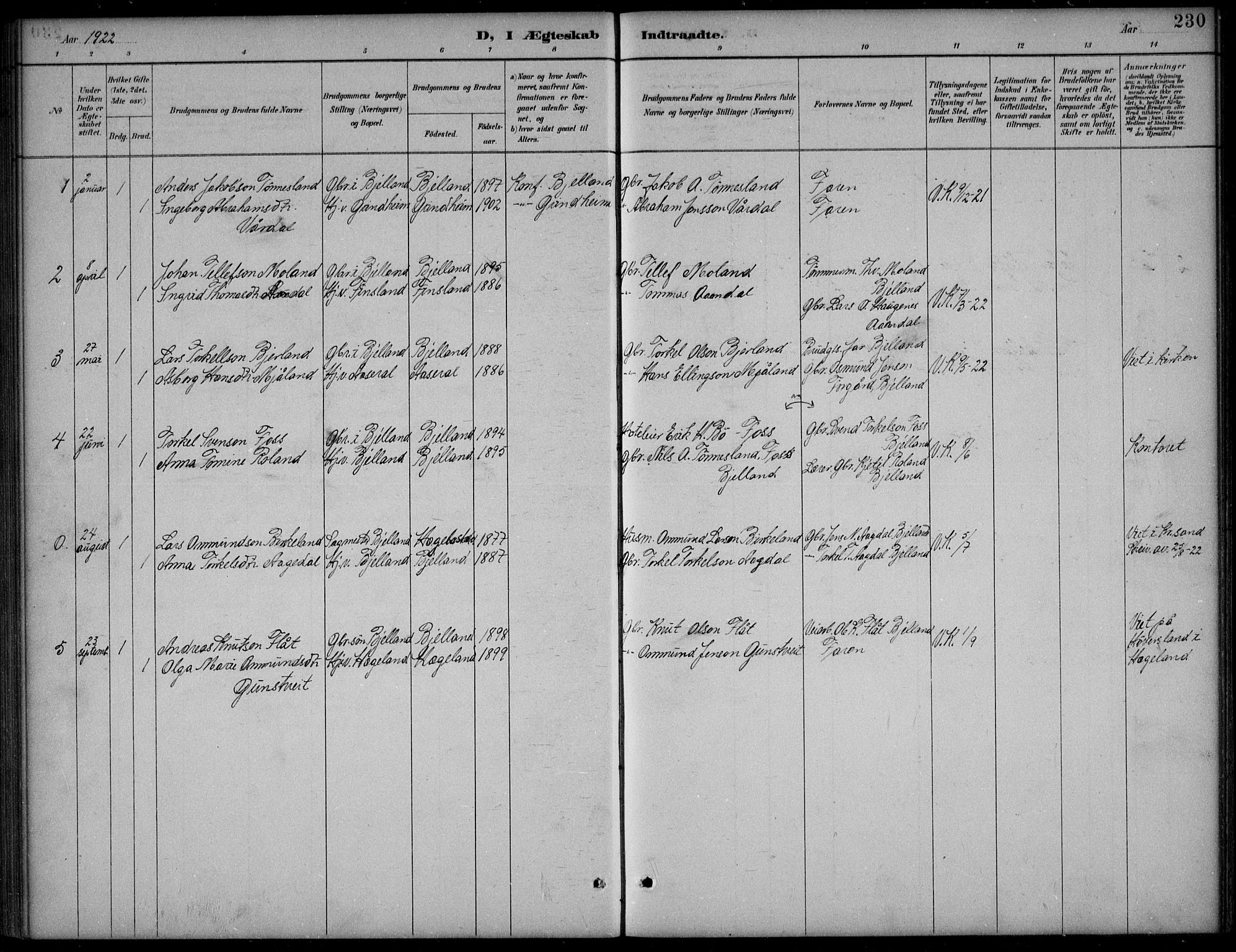 Bjelland sokneprestkontor, SAK/1111-0005/F/Fb/Fba/L0005: Parish register (copy) no. B 5, 1887-1923, p. 230