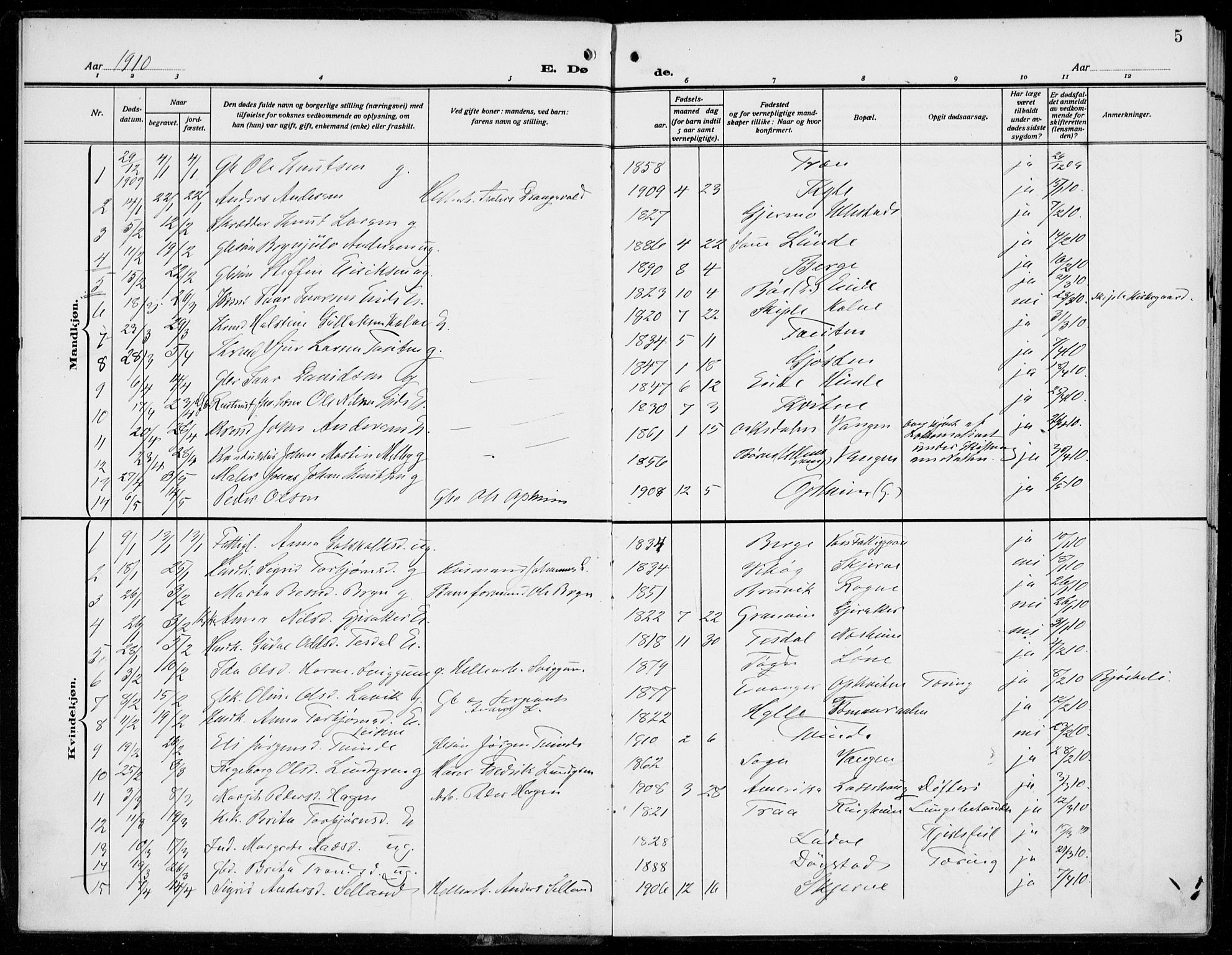 Voss sokneprestembete, SAB/A-79001/H/Haa: Parish register (official) no. D  2, 1910-1932, p. 5