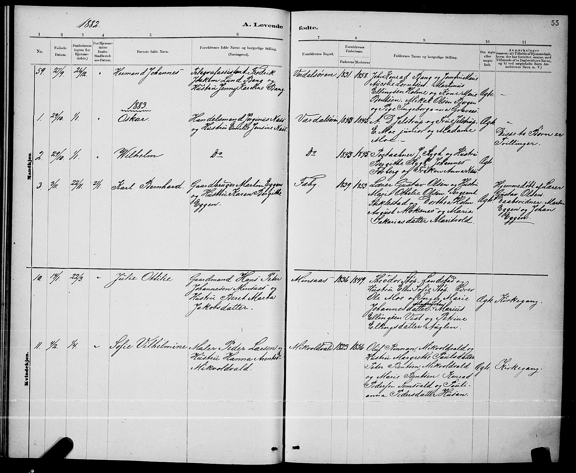 Ministerialprotokoller, klokkerbøker og fødselsregistre - Nord-Trøndelag, AV/SAT-A-1458/723/L0256: Parish register (copy) no. 723C04, 1879-1890, p. 55