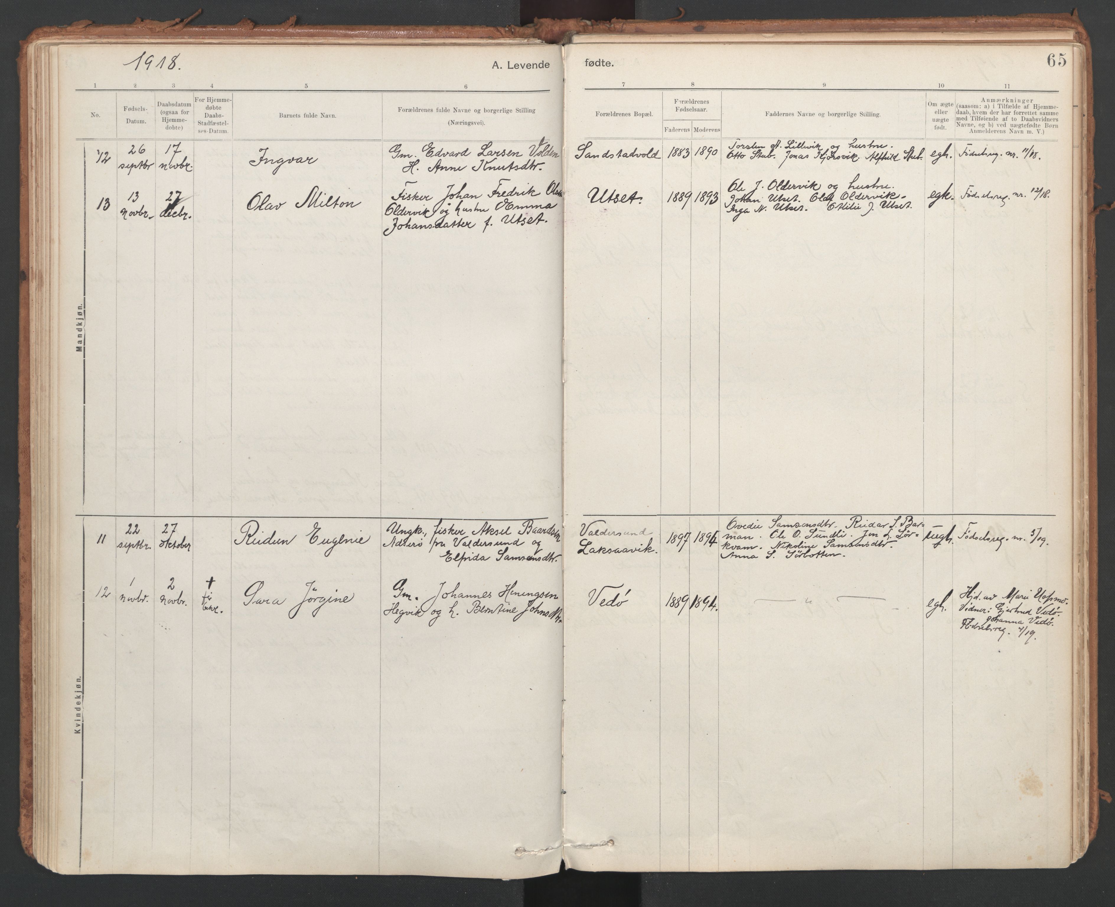 Ministerialprotokoller, klokkerbøker og fødselsregistre - Sør-Trøndelag, SAT/A-1456/639/L0572: Parish register (official) no. 639A01, 1890-1920, p. 65