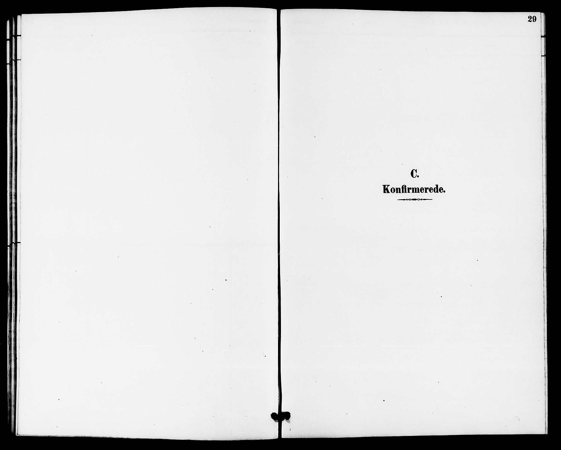 Hjartdal kirkebøker, SAKO/A-270/G/Gb/L0003: Parish register (copy) no. II 3, 1884-1899, p. 29