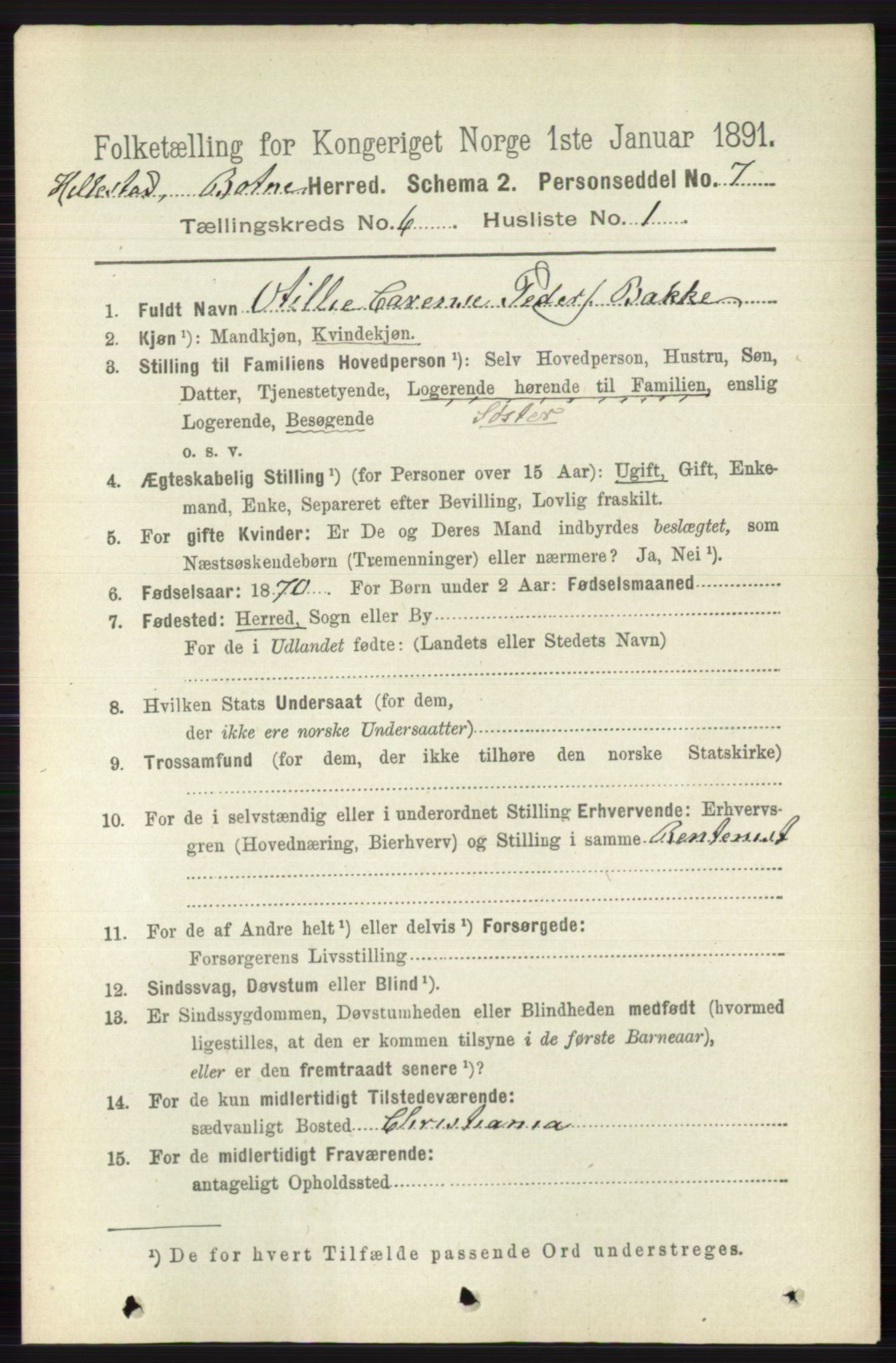 RA, 1891 census for 0715 Botne, 1891, p. 2296