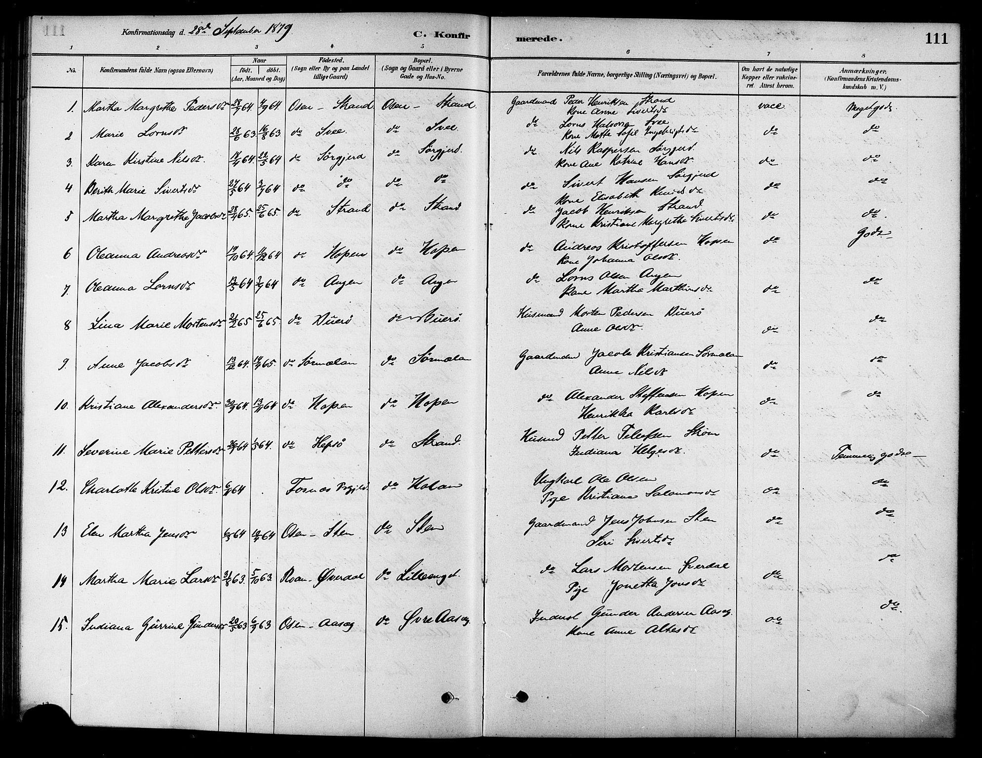 Ministerialprotokoller, klokkerbøker og fødselsregistre - Sør-Trøndelag, AV/SAT-A-1456/658/L0722: Parish register (official) no. 658A01, 1879-1896, p. 111