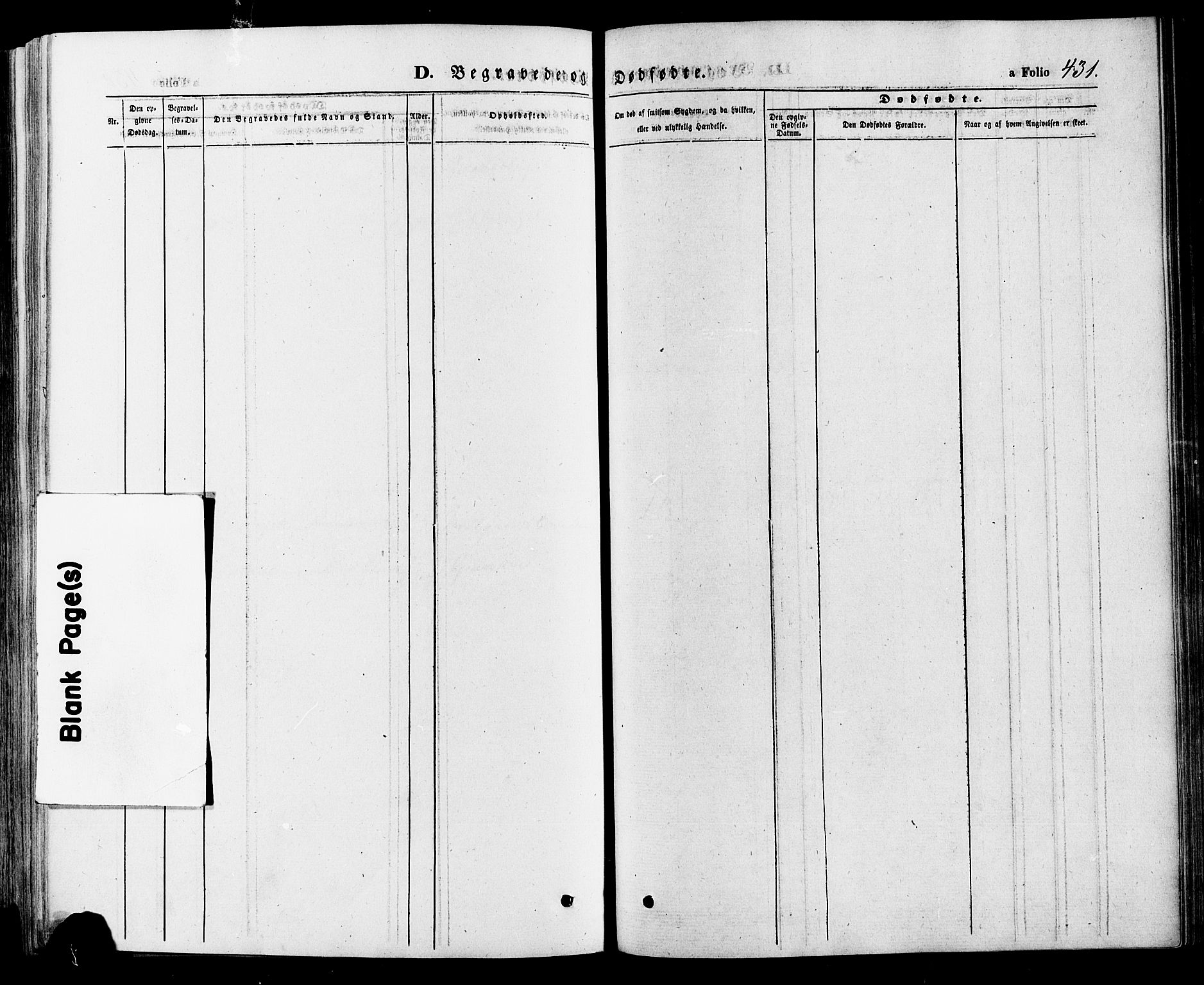 Gausdal prestekontor, SAH/PREST-090/H/Ha/Haa/L0010: Parish register (official) no. 10, 1867-1886, p. 431