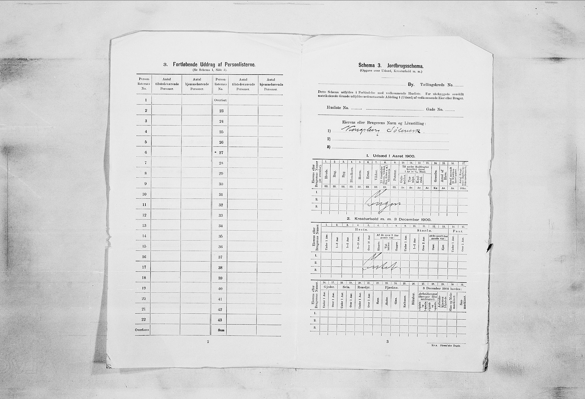 RA, 1900 census for Kongsberg, 1900, p. 55