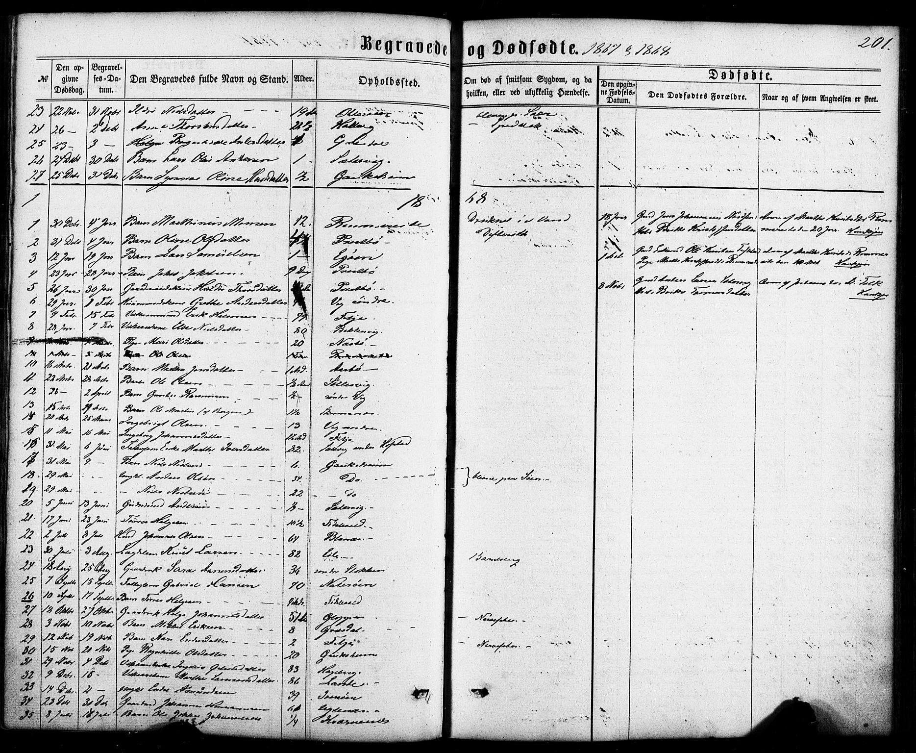 Fitjar sokneprestembete, SAB/A-99926: Parish register (official) no. A 1, 1862-1881, p. 201