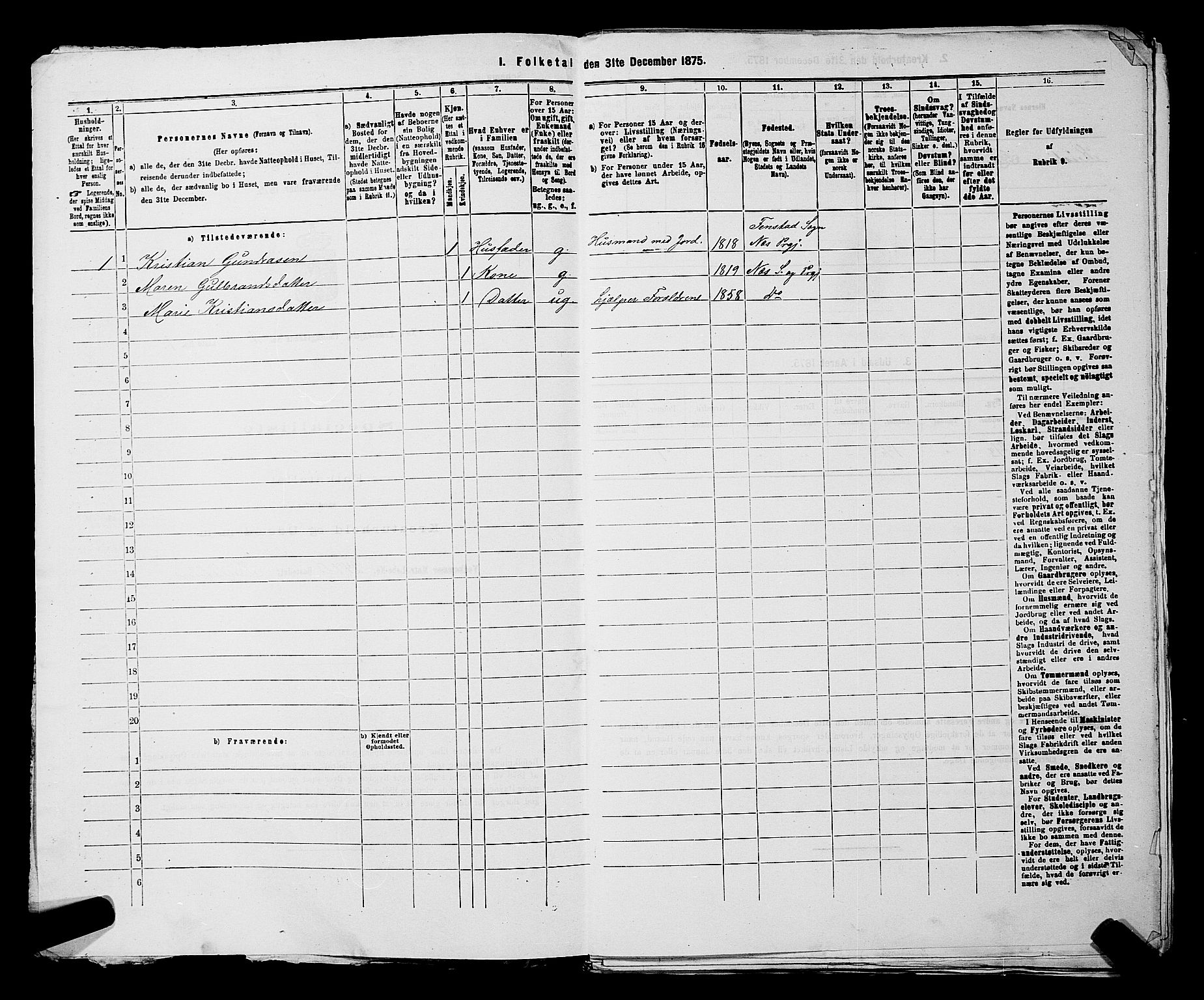 RA, 1875 census for 0236P Nes, 1875, p. 1889