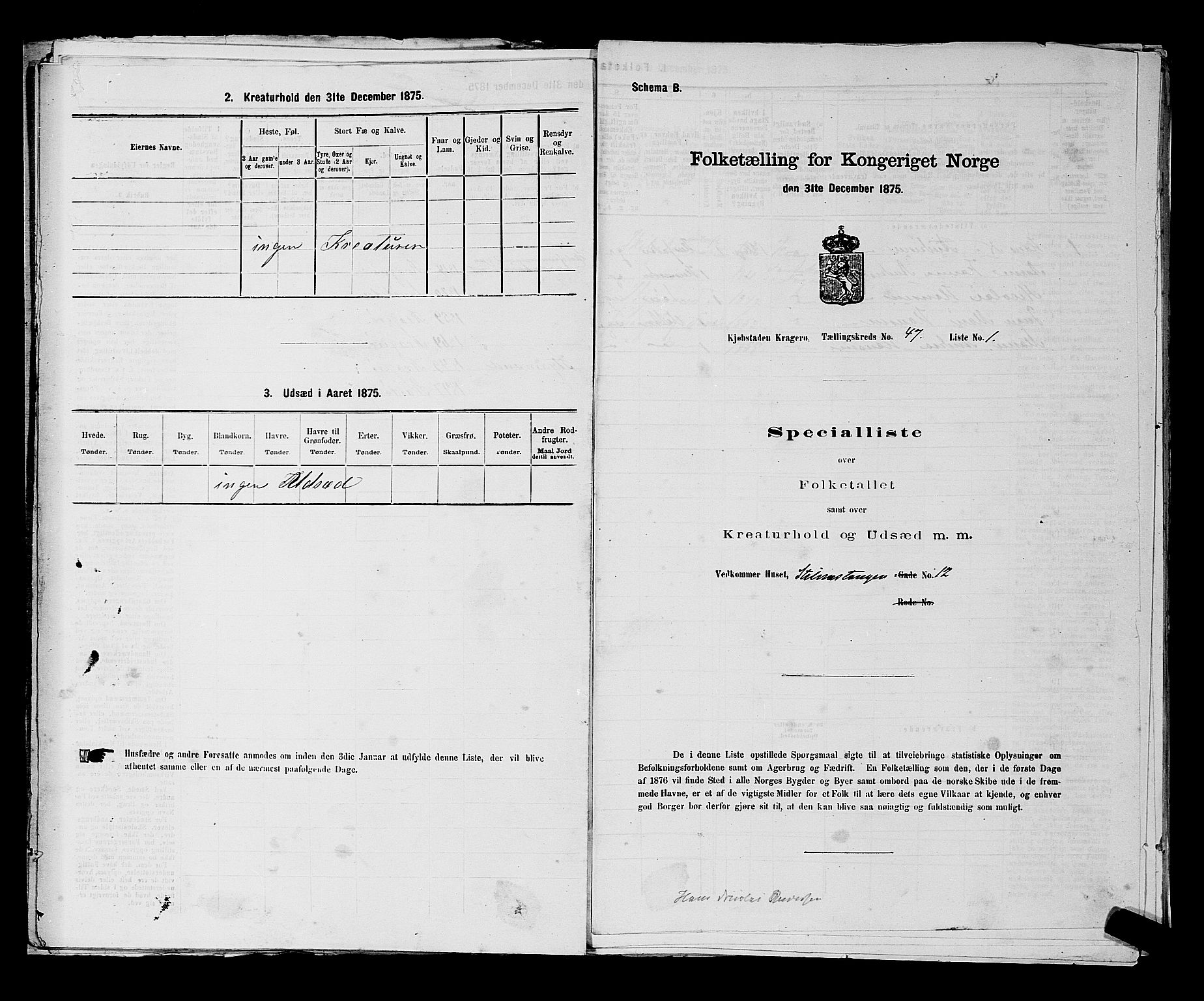 SAKO, 1875 census for 0801P Kragerø, 1875, p. 1036