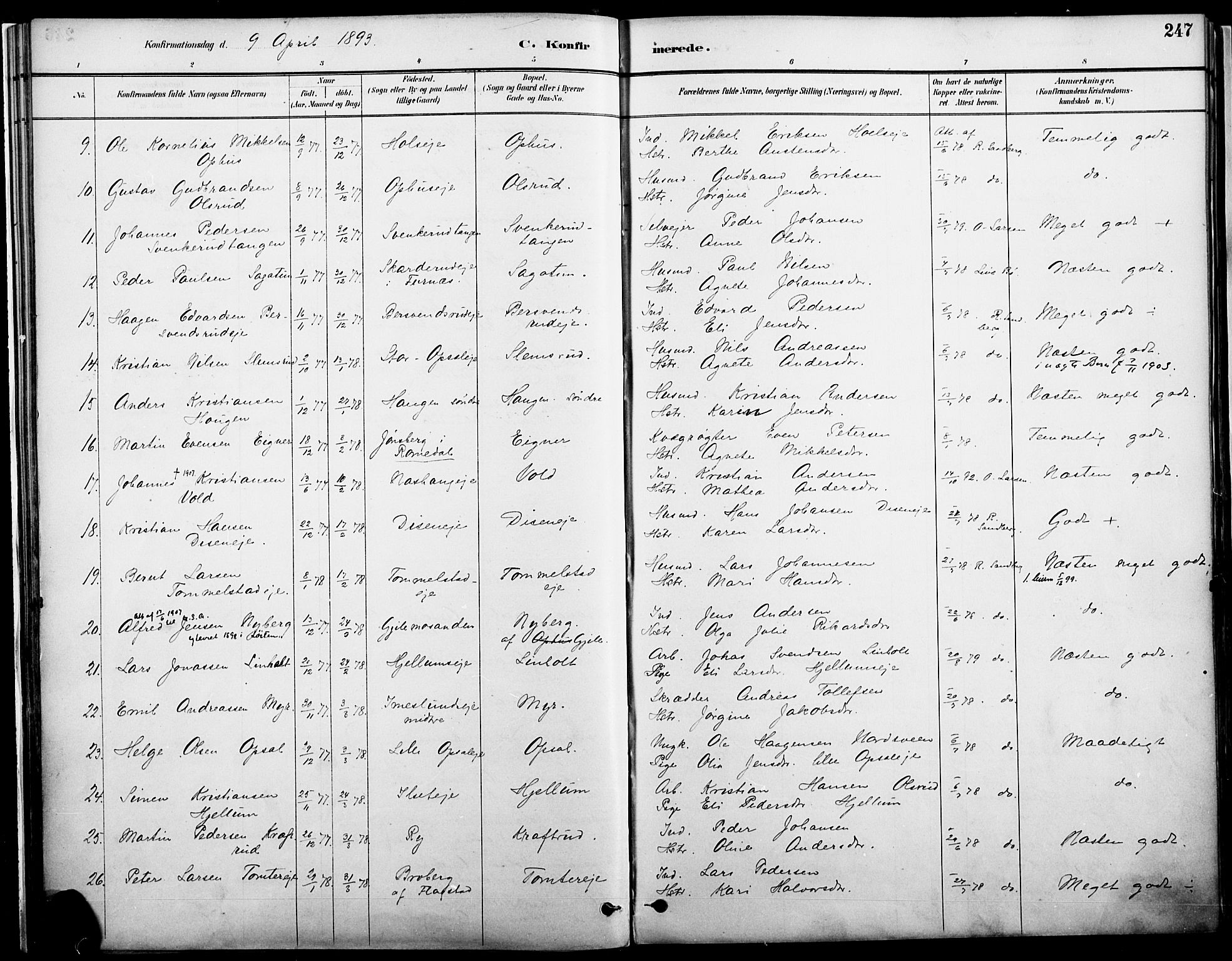 Vang prestekontor, Hedmark, AV/SAH-PREST-008/H/Ha/Haa/L0019A: Parish register (official) no. 19, 1886-1900, p. 247