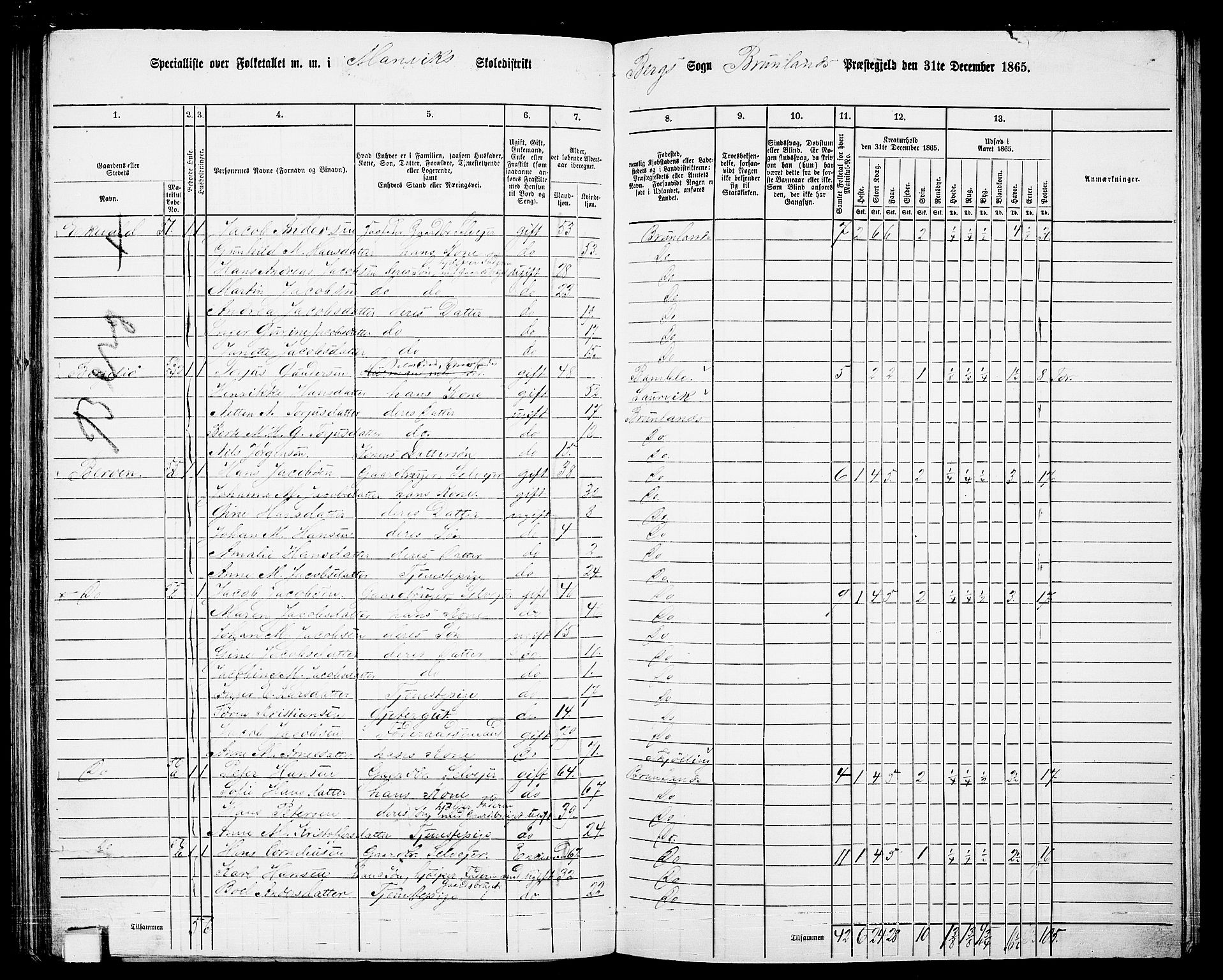 RA, 1865 census for Brunlanes, 1865, p. 131