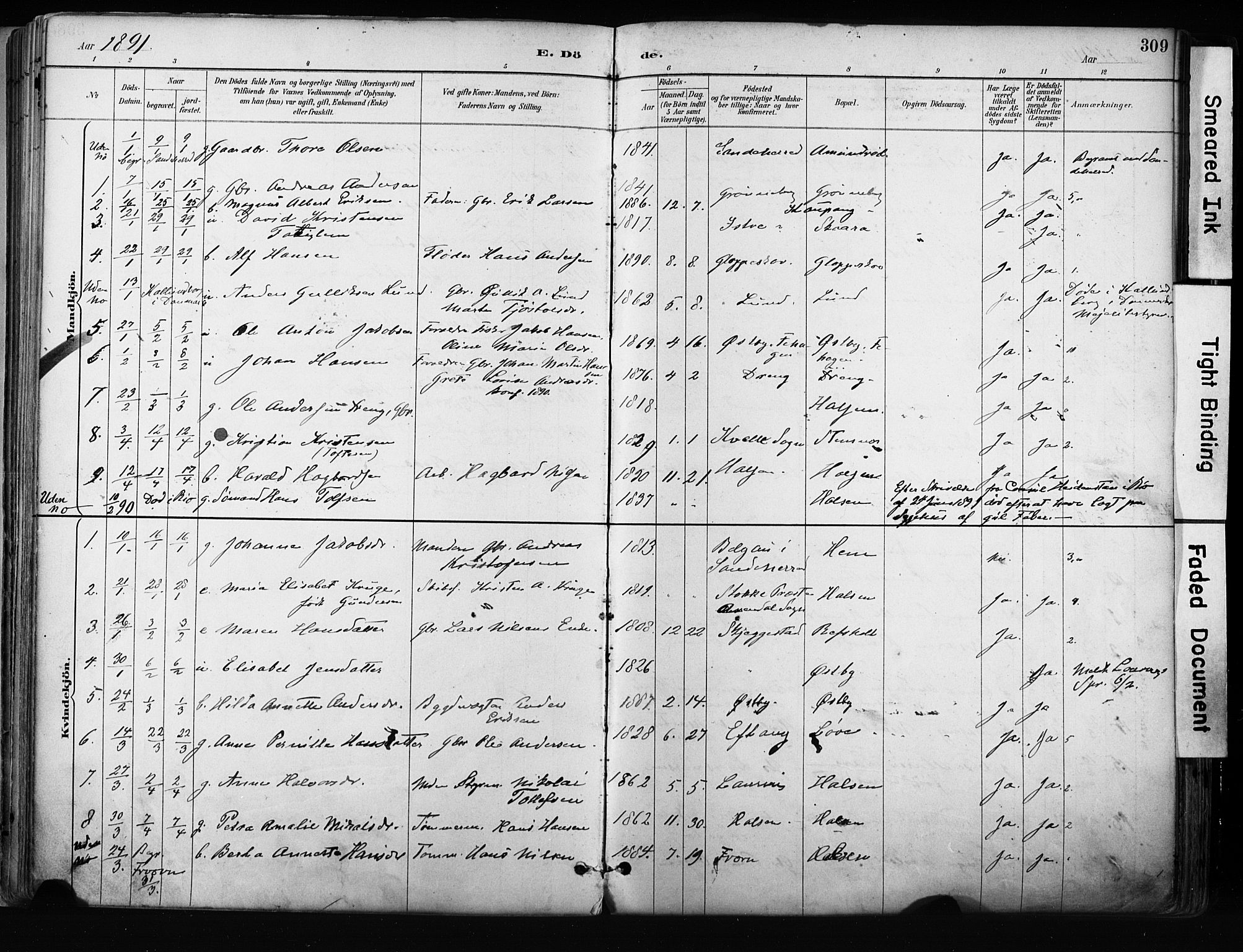 Tjølling kirkebøker, AV/SAKO-A-60/F/Fa/L0009: Parish register (official) no. 9, 1887-1905, p. 309