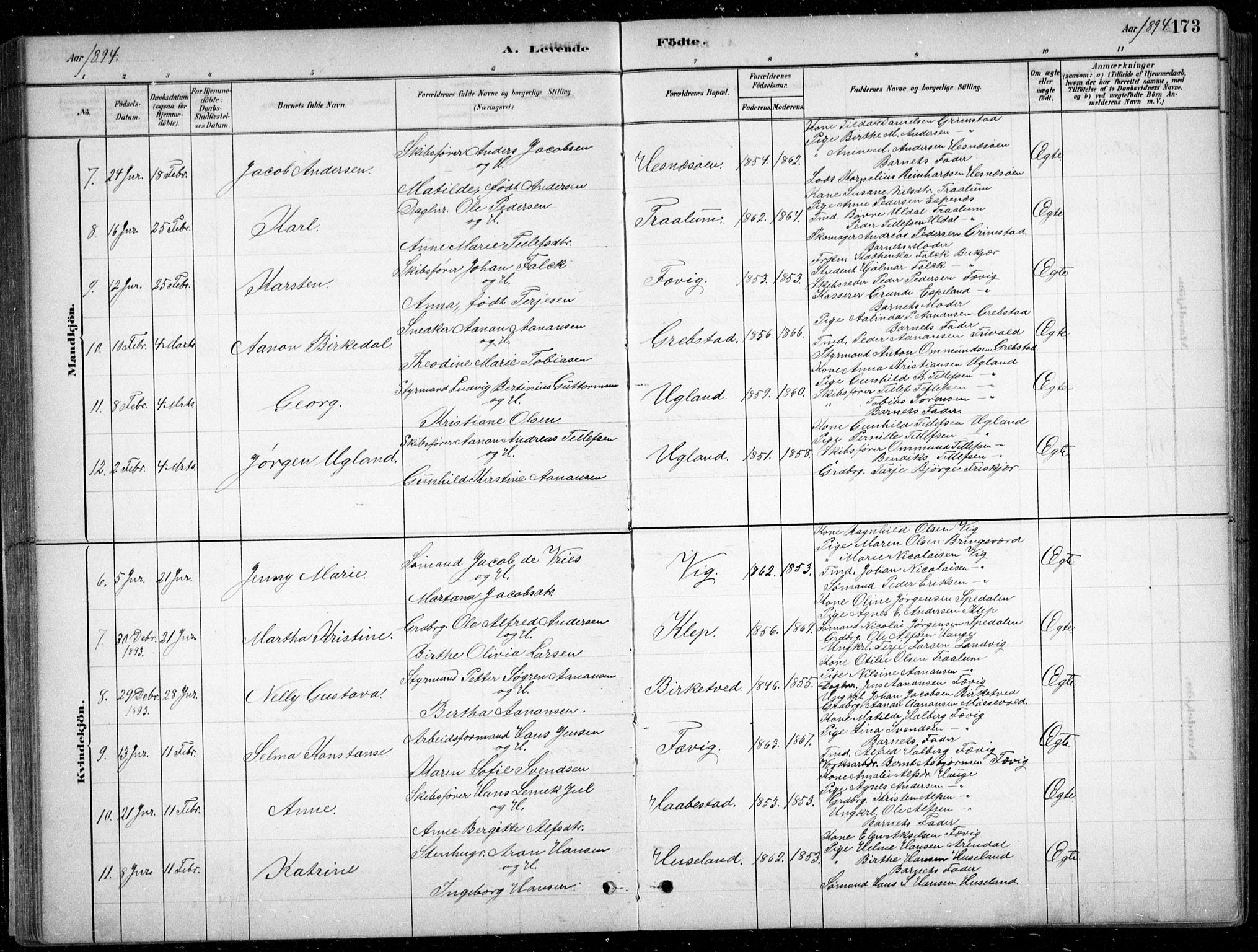 Fjære sokneprestkontor, AV/SAK-1111-0011/F/Fb/L0011: Parish register (copy) no. B 11, 1881-1905, p. 173