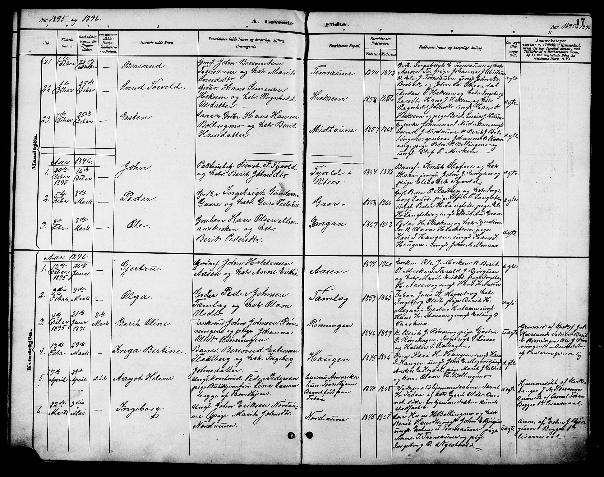 Ministerialprotokoller, klokkerbøker og fødselsregistre - Sør-Trøndelag, SAT/A-1456/685/L0978: Parish register (copy) no. 685C03, 1891-1907, p. 17